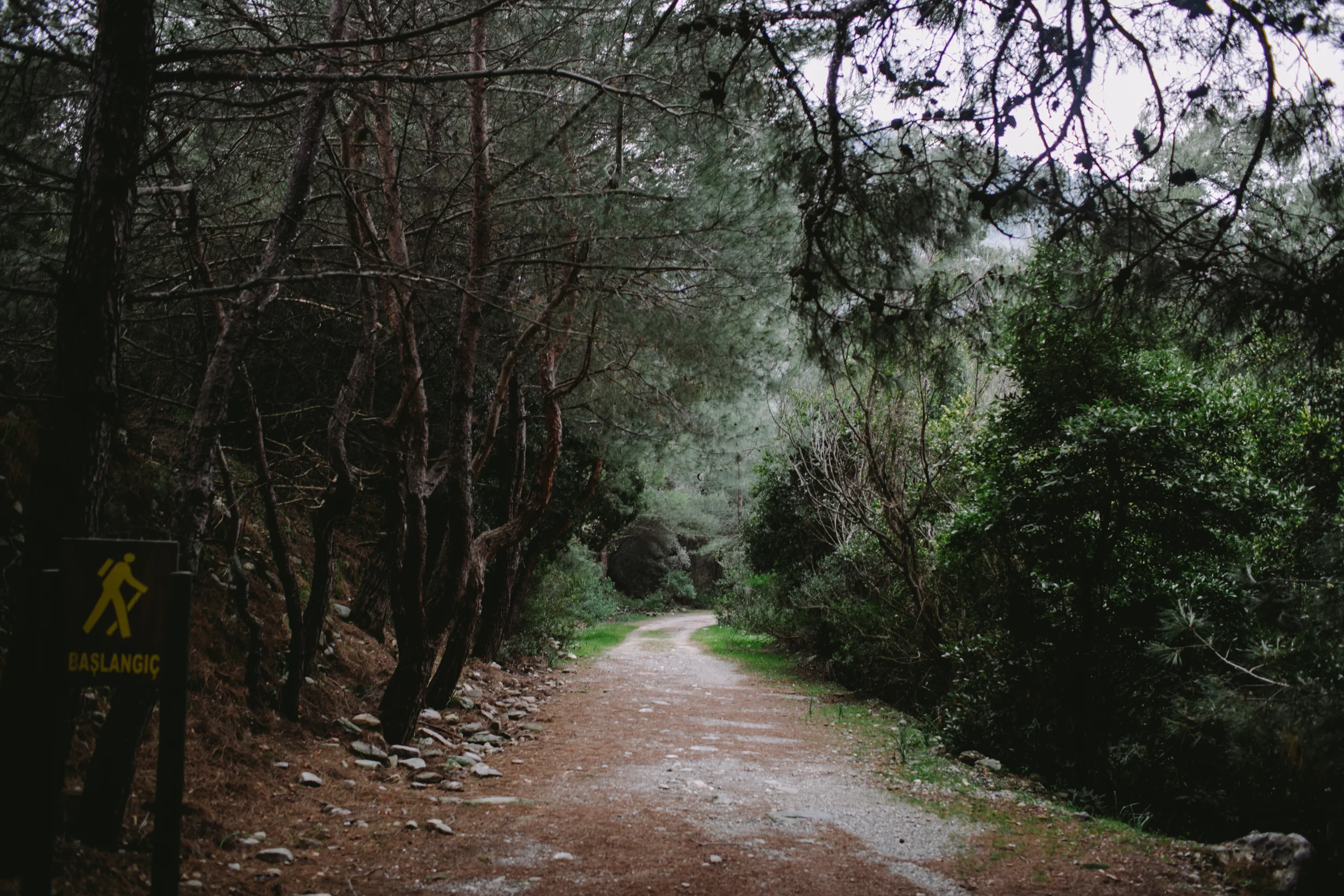 scene064.jpg