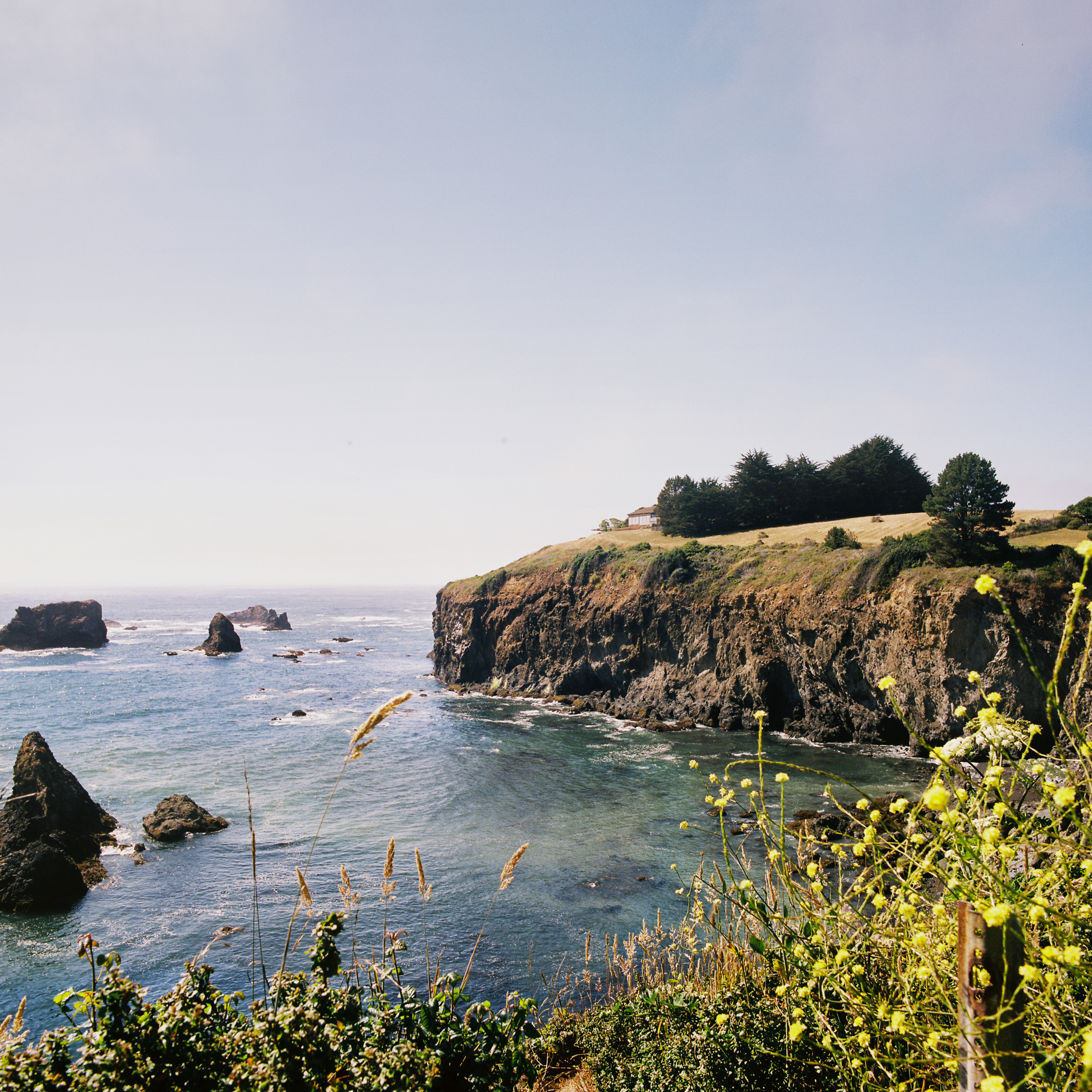 pnw05.jpg