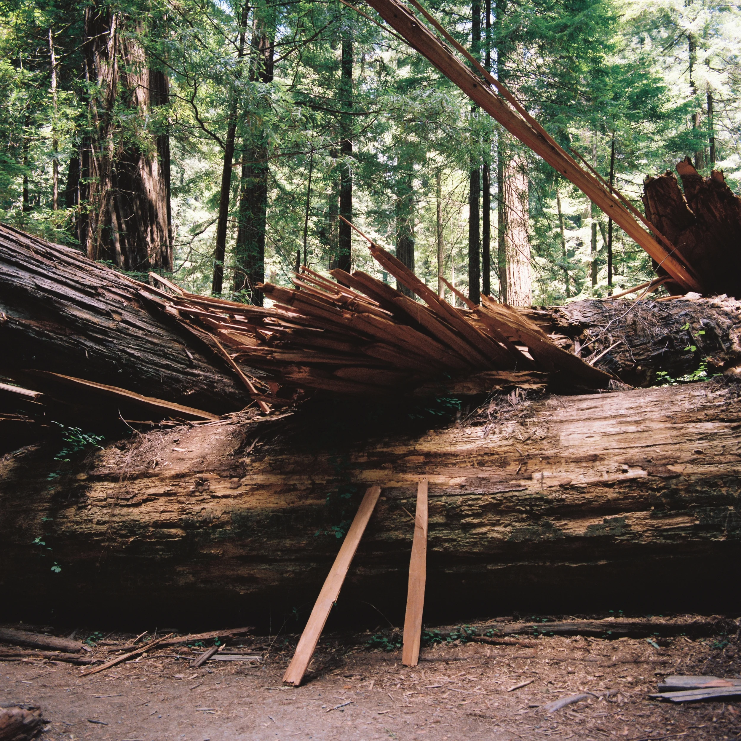 pnw03.jpg