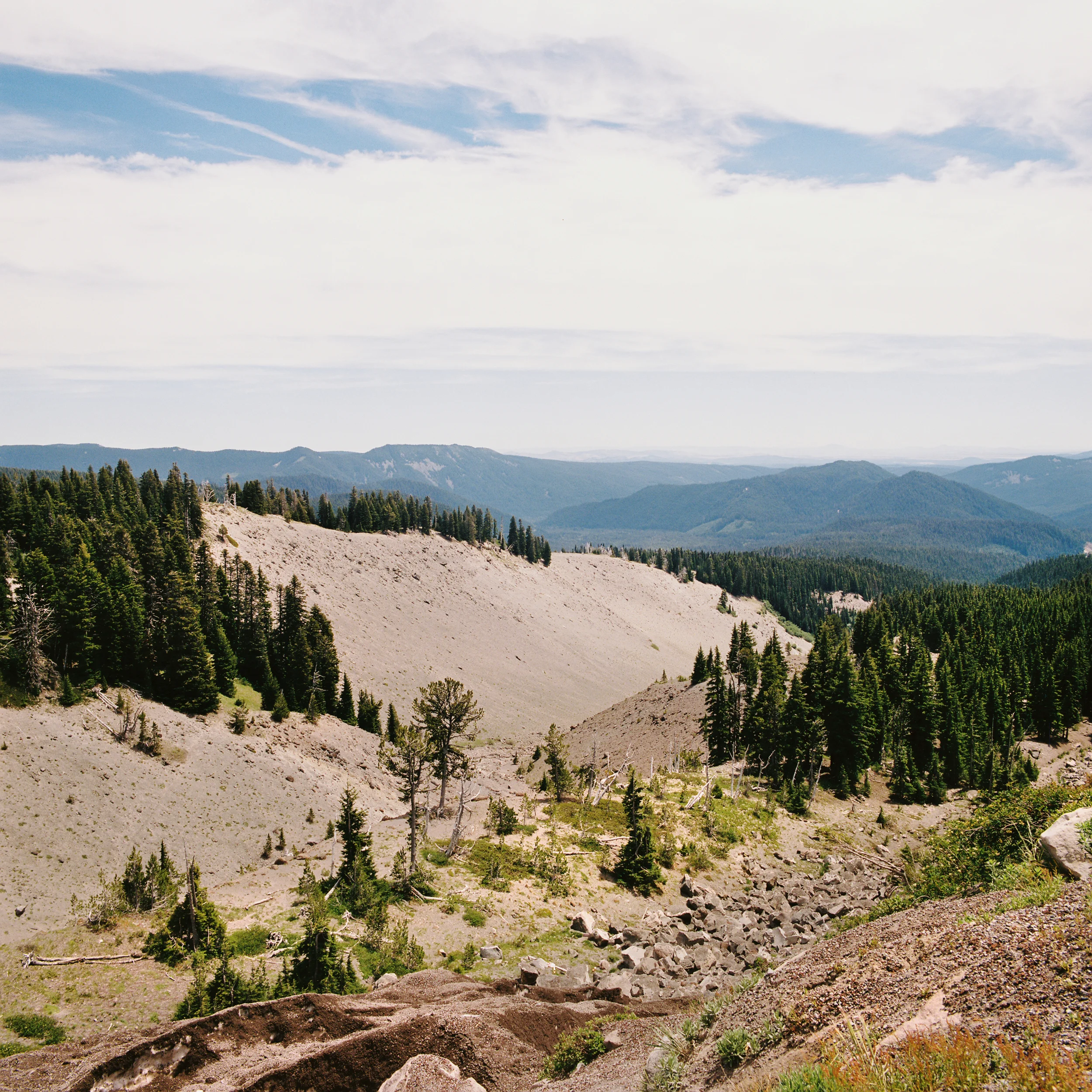 pnw08.jpg