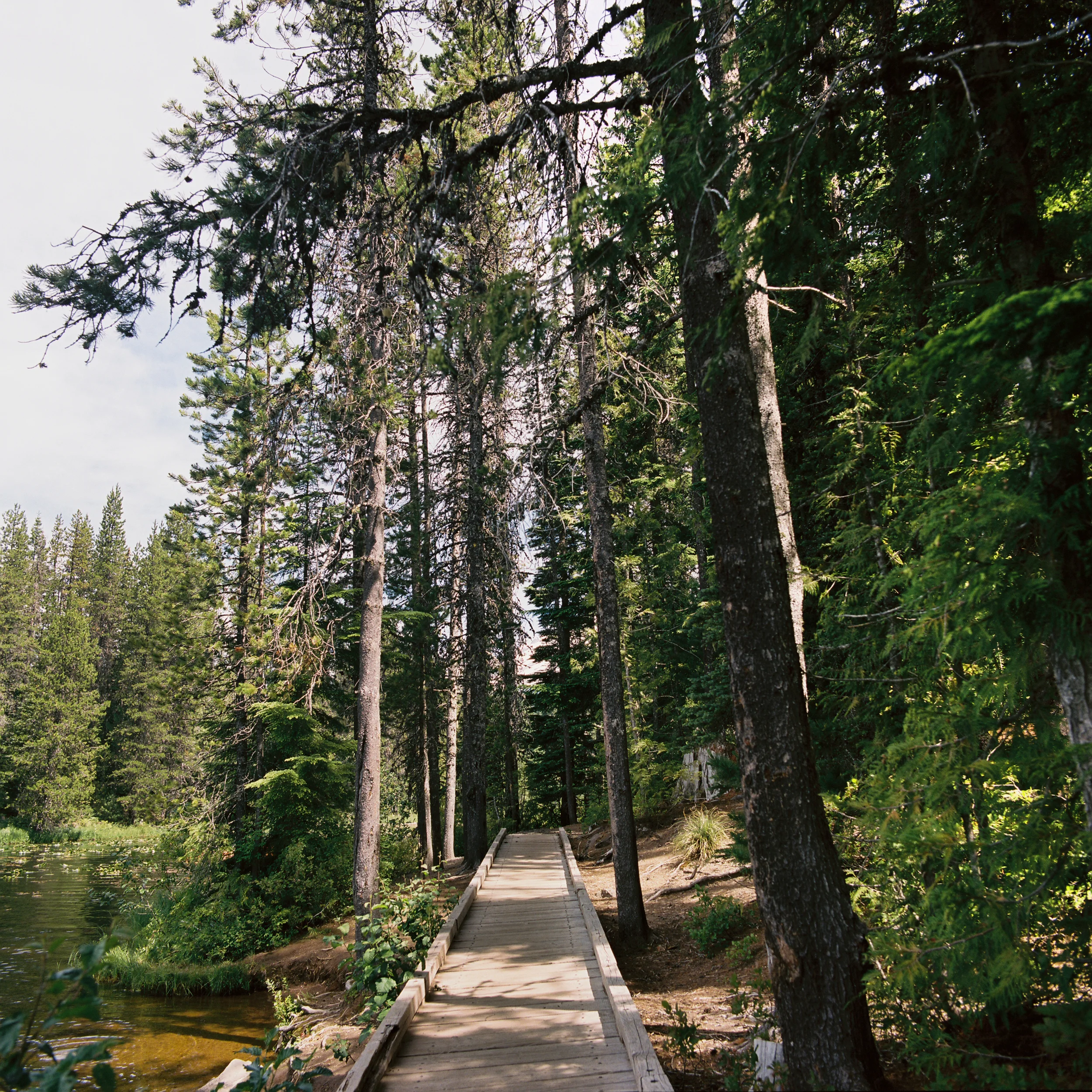 pnw07.jpg