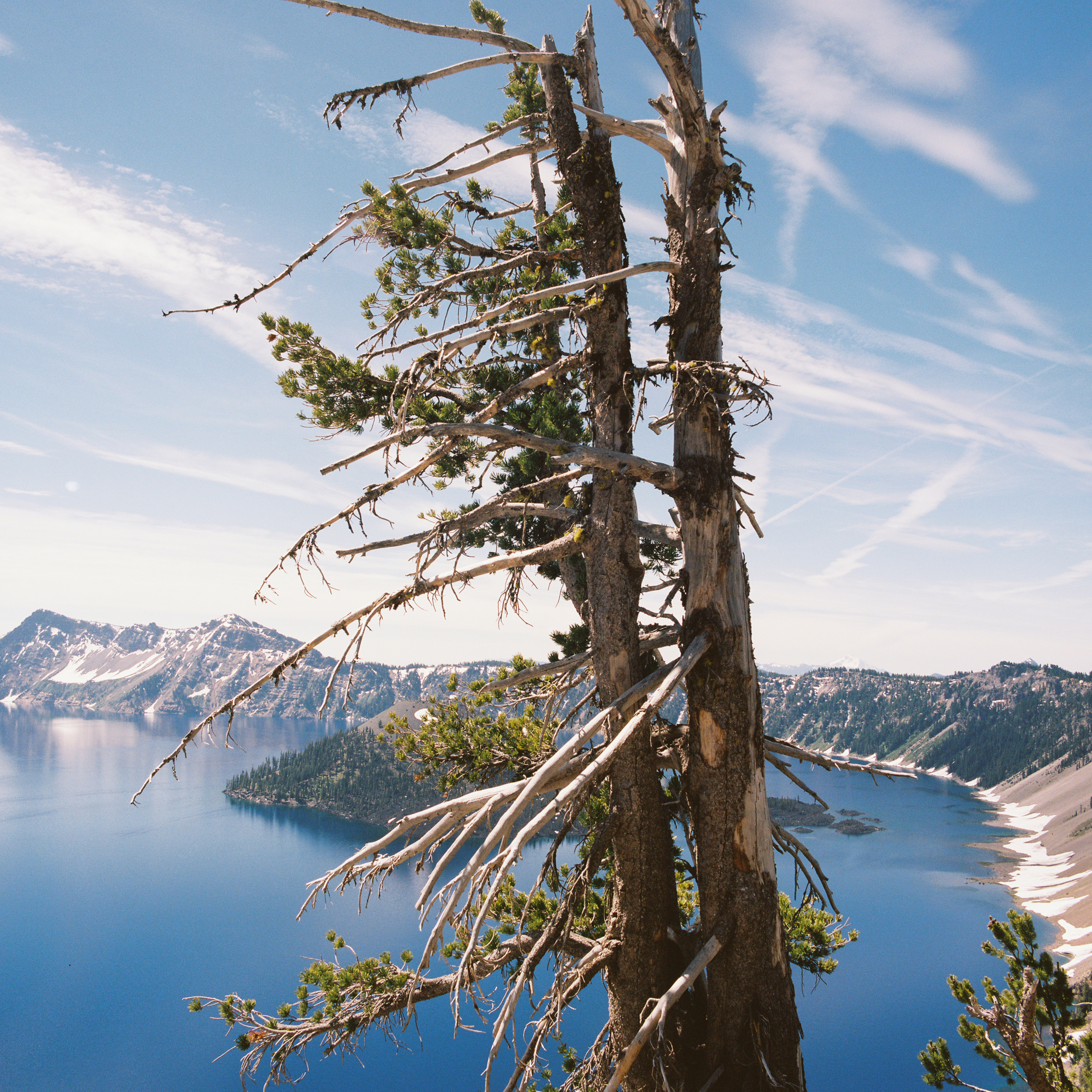 pnw10.jpg