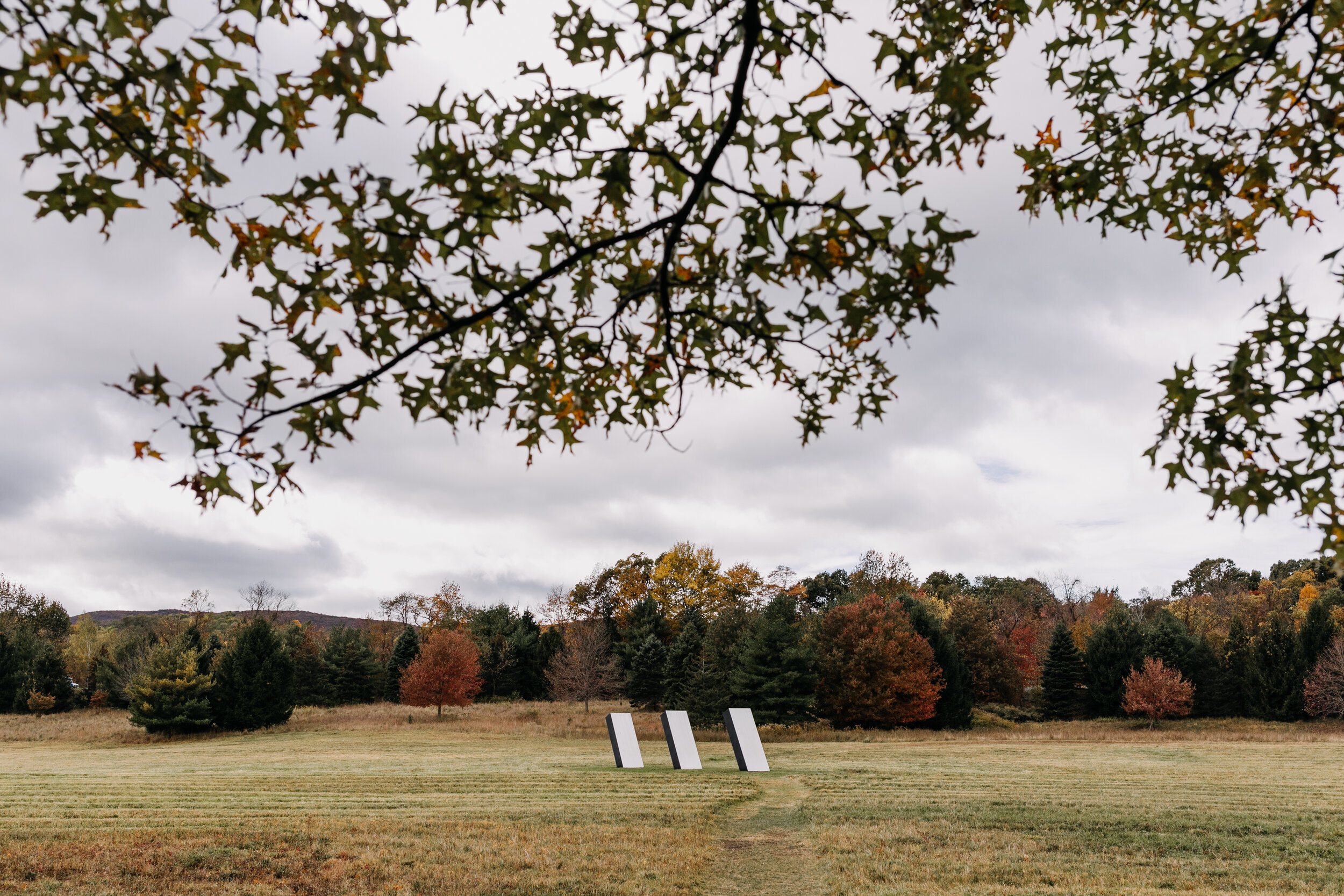 catskills_oct19_126.jpg