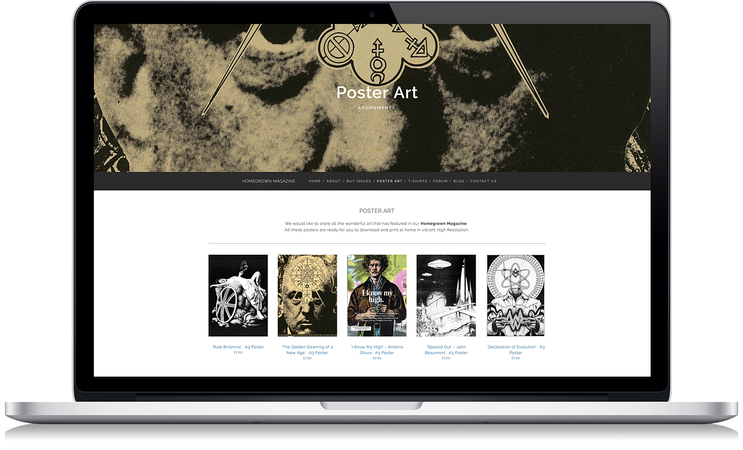 website-shops-for-poster-sales.png