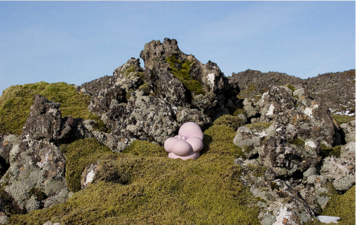 Icelandic Garden Photographs by Nikki Renee Anderson ( nikkireneeanderson.com )