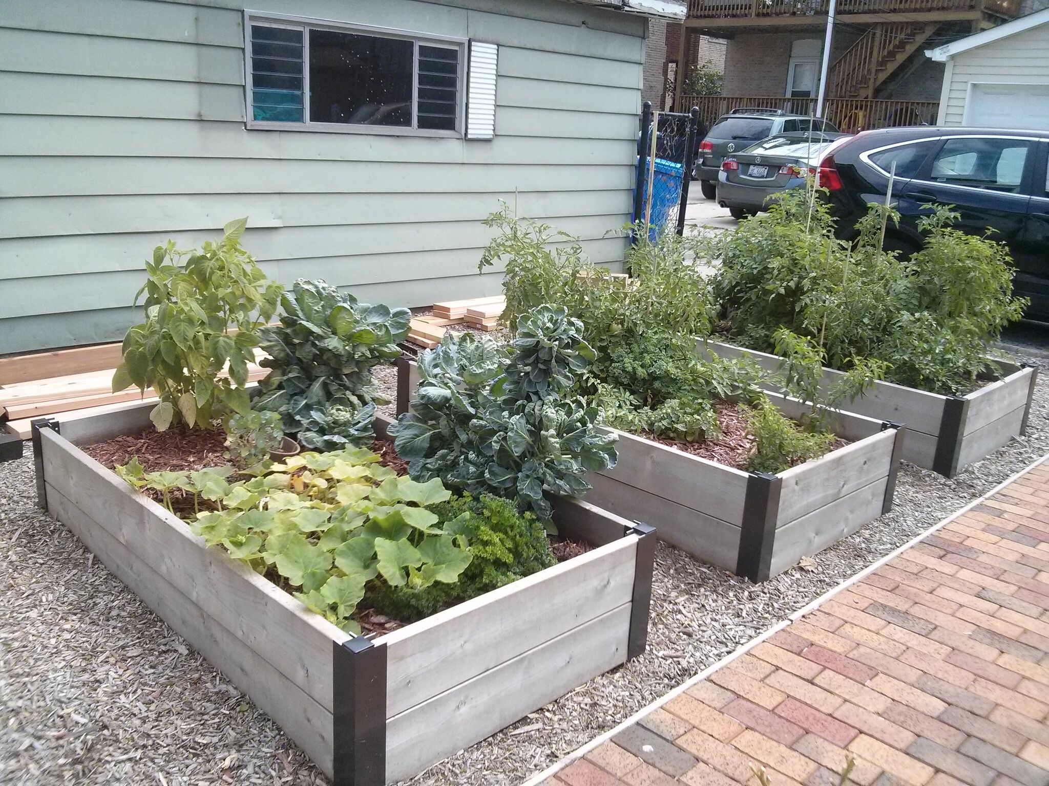 Raised beds