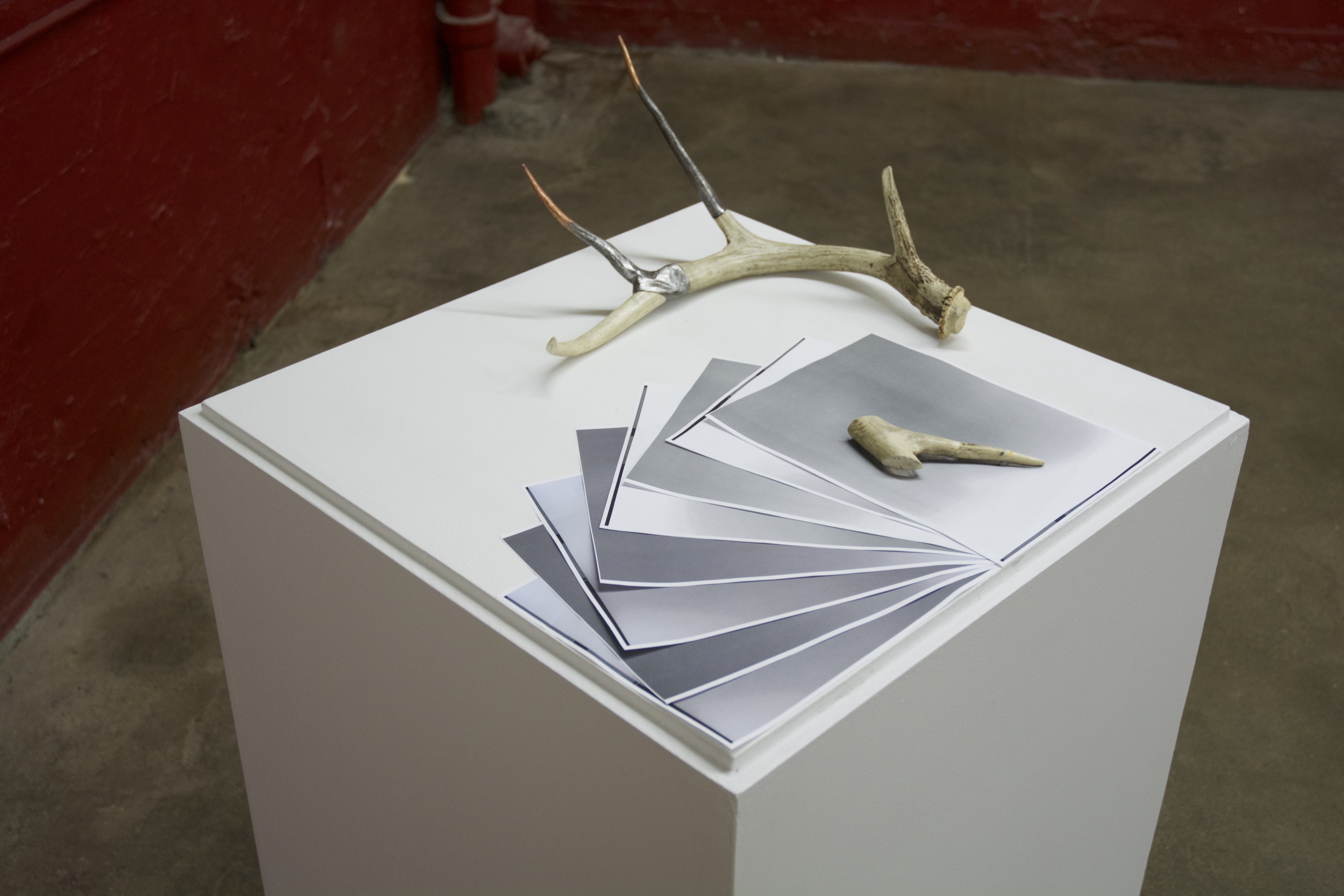 Natalie Kling | Antler and steel