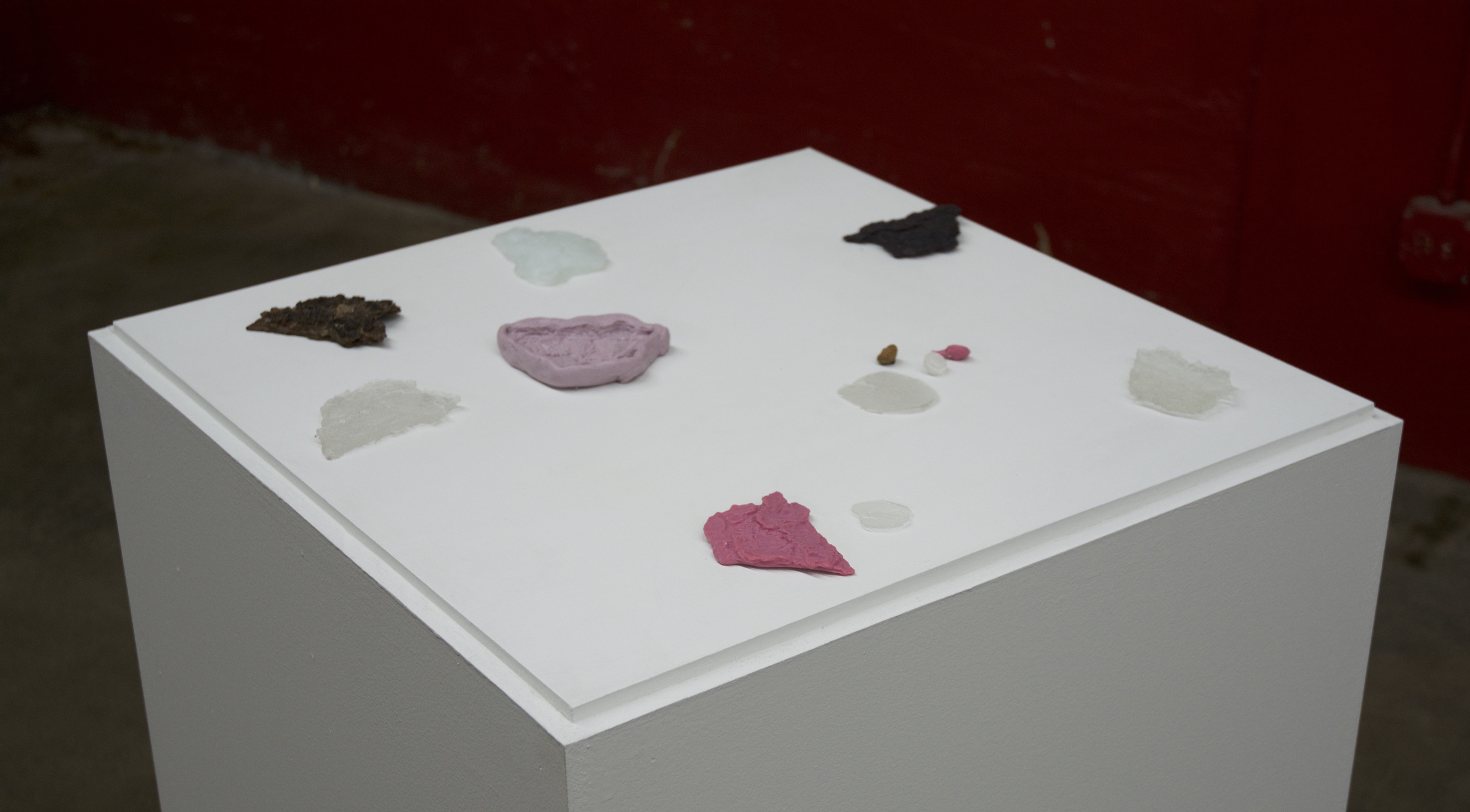 Aushra Abouzeid | Bark, acorn, wax, silicone, resin