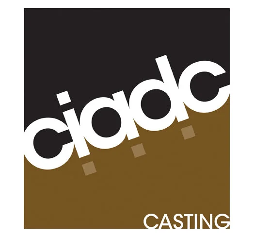 Immersion: Intro to Metal Casting (CST190-01)