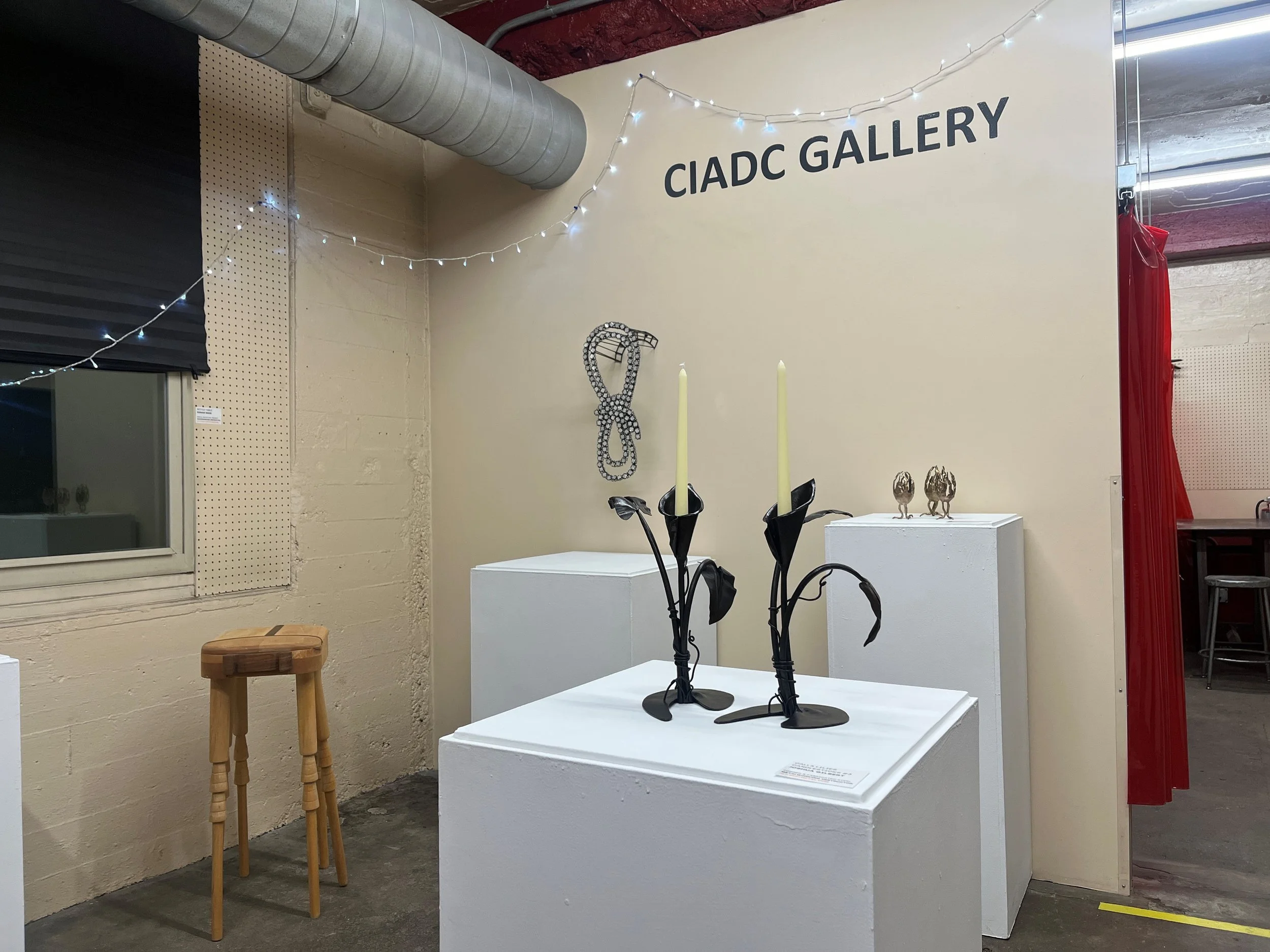 Instructor Show_Jan_26.jpg