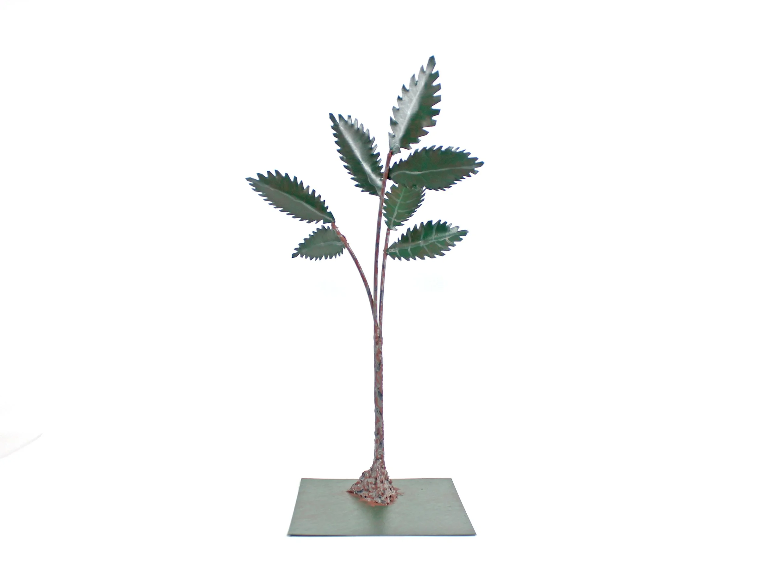 Robert Lau_Ulmus.jpg