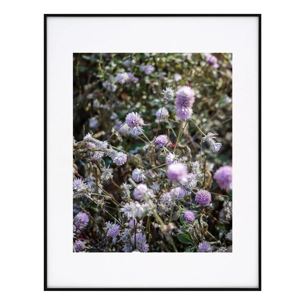 Flowers_frame_72dpi.jpg