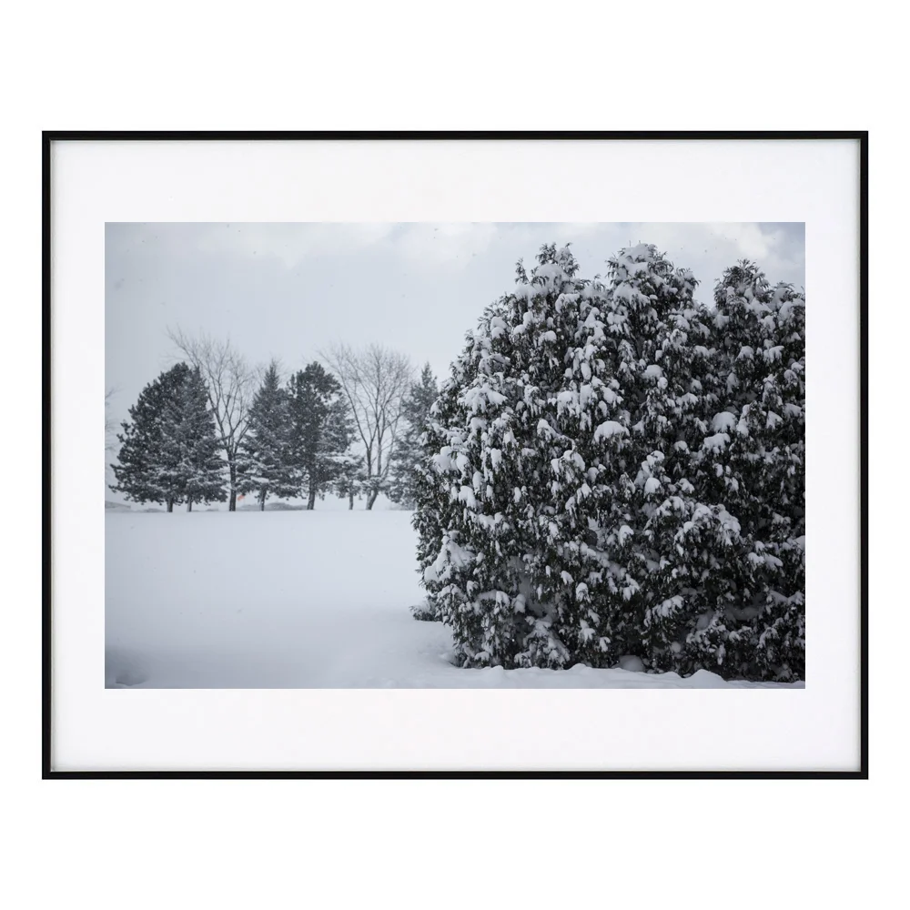 Snow_frame_72dpi.jpg