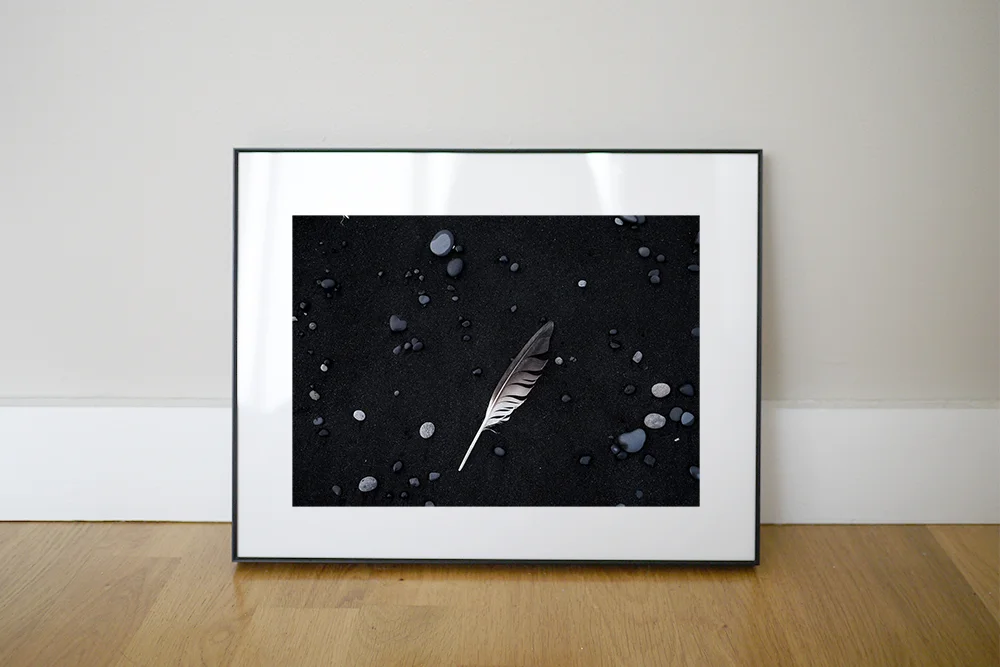 Icelandic Feather_environment_72dpi.jpg