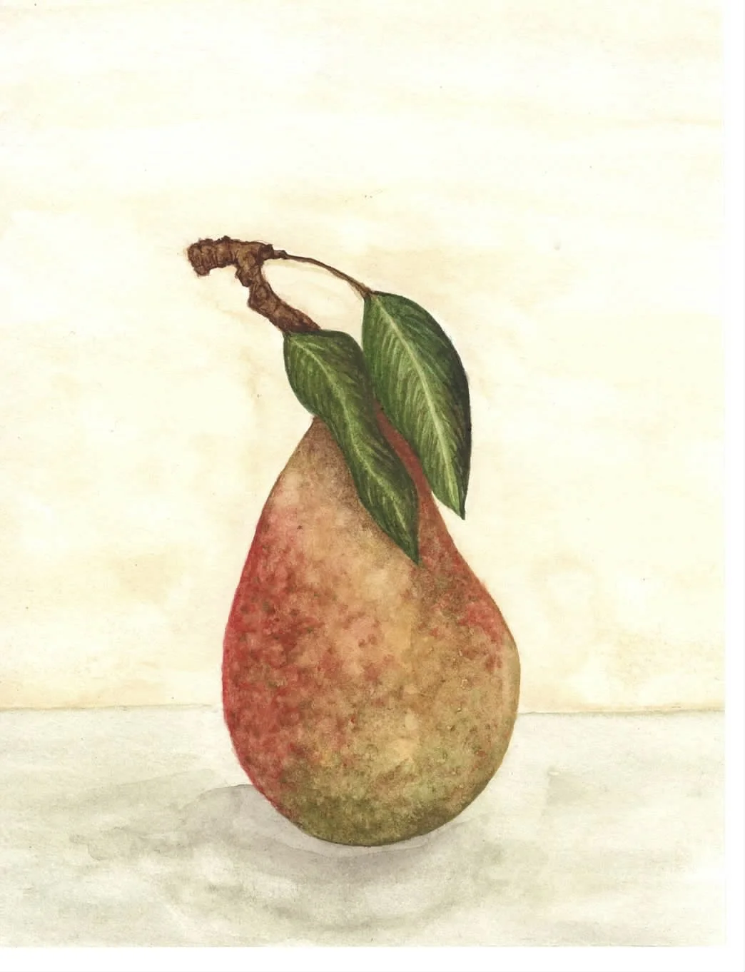 Louise Bonne of Jersey Pear.jpg