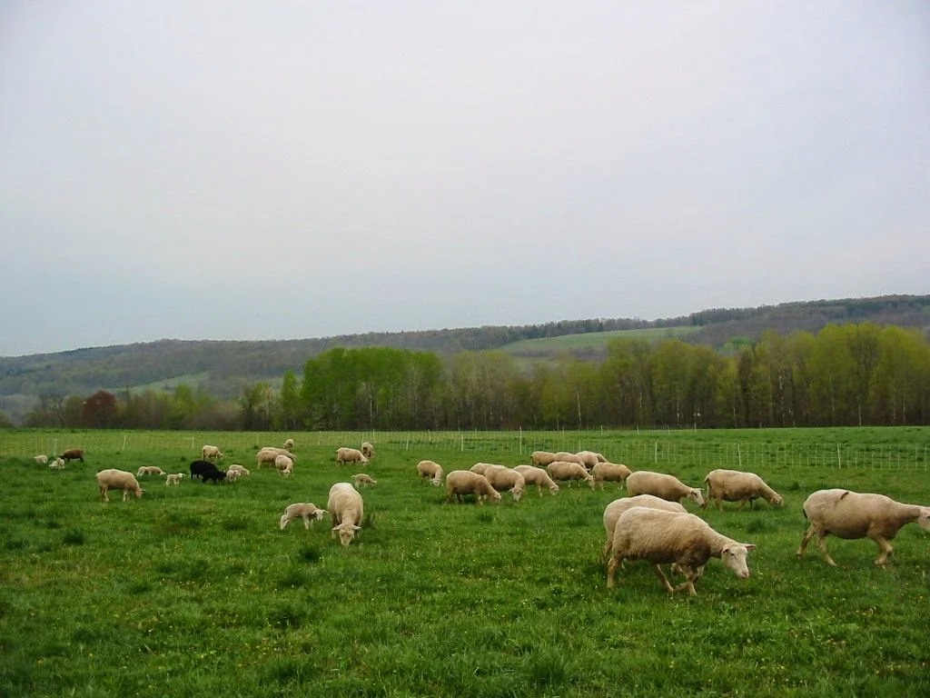 image16.jpg