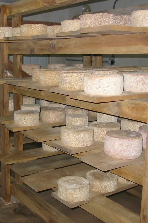 image6.jpg