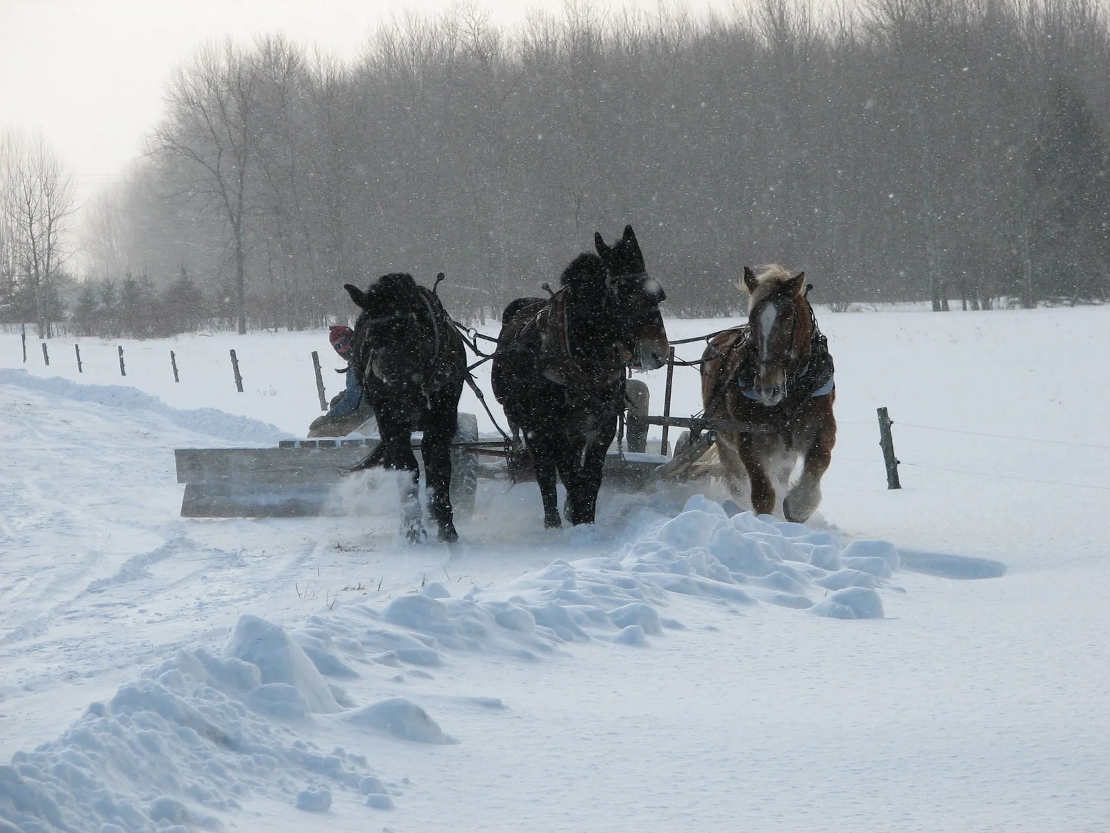 snow plowing 1.jpg