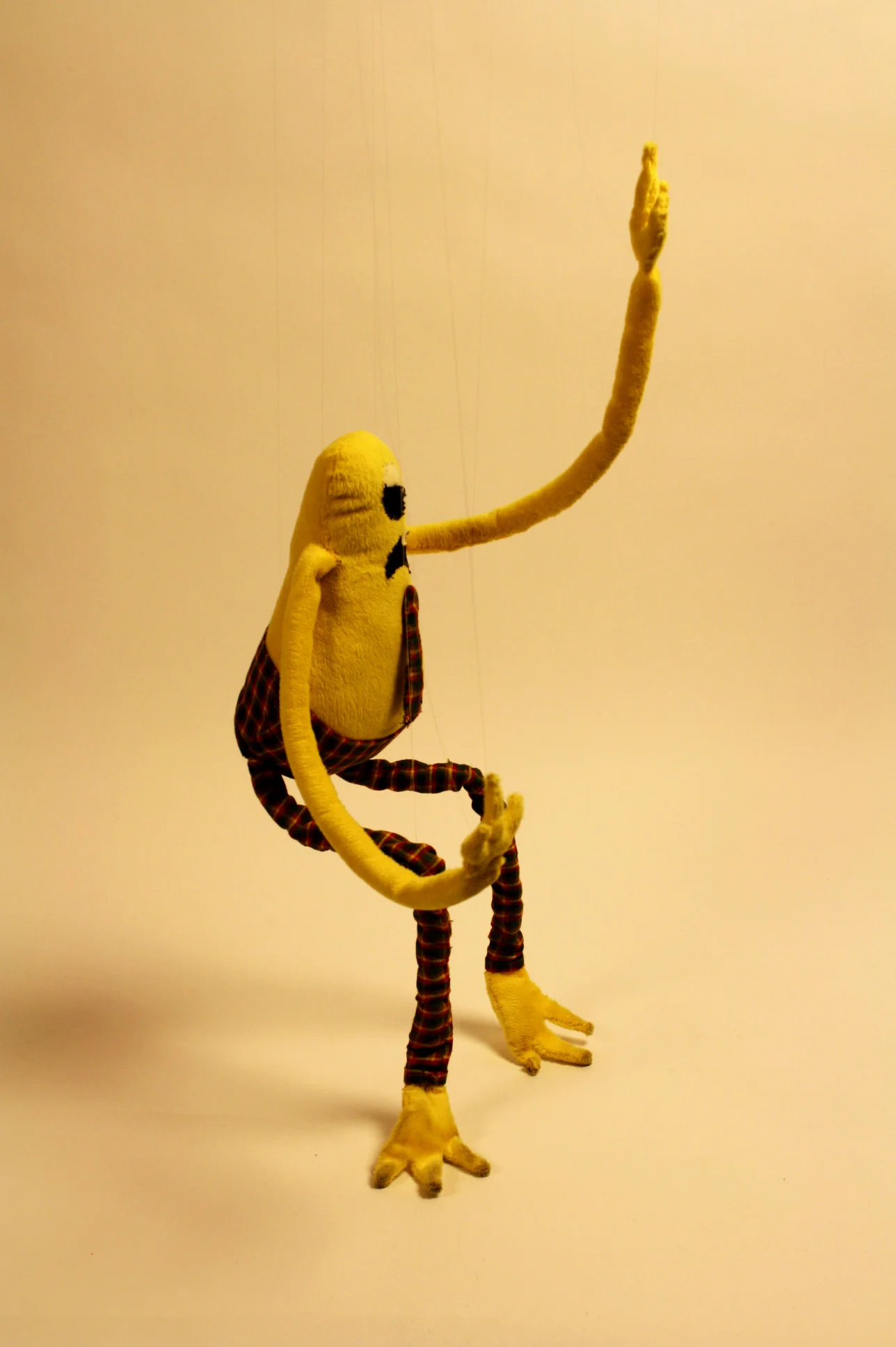 BraffPuppet.jpg