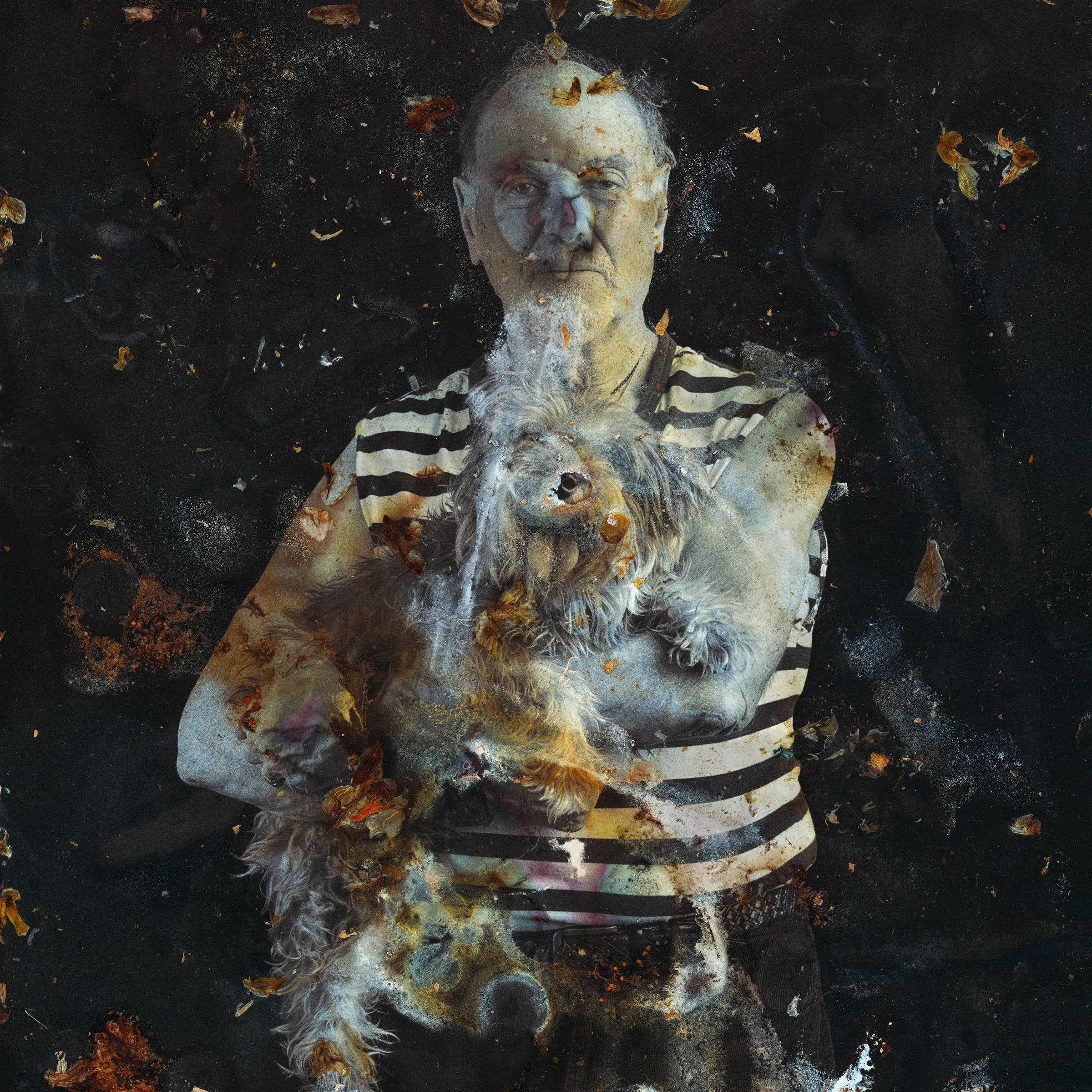 Stained Roots