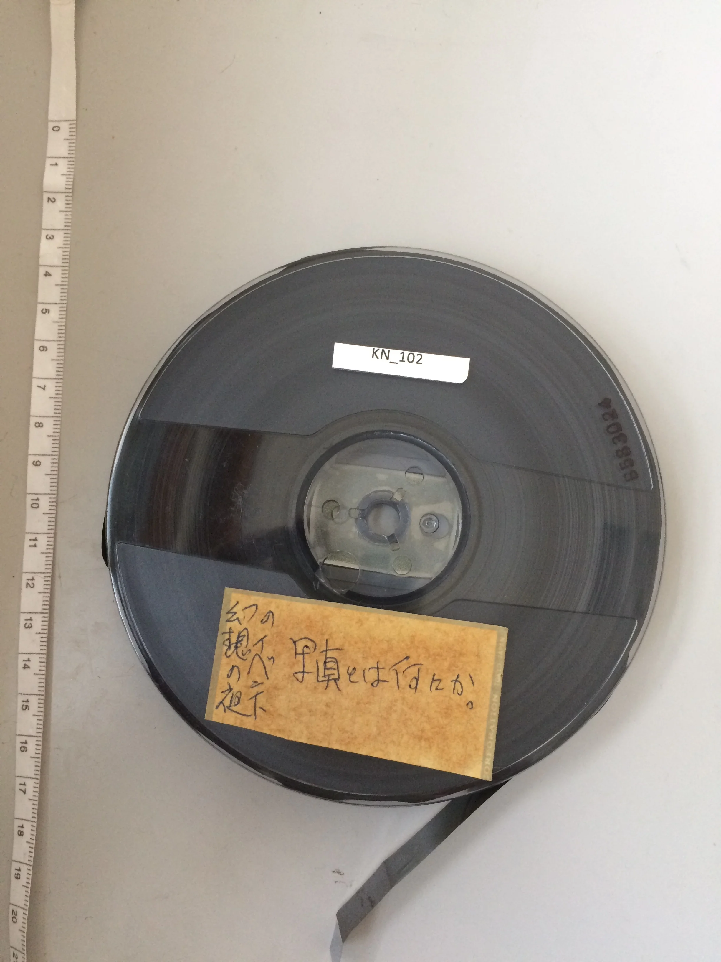 2018 Collection Survey Photo Report