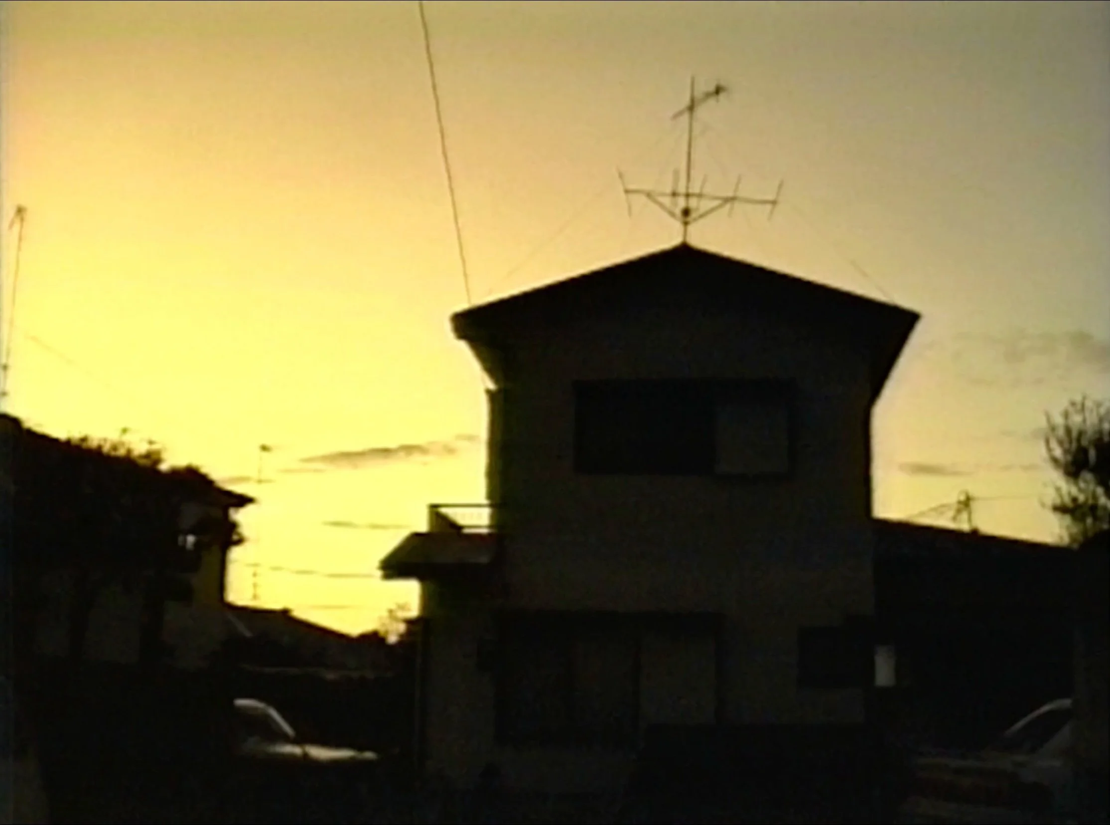 Online Screening: In Memory of Masanobu Nakamura