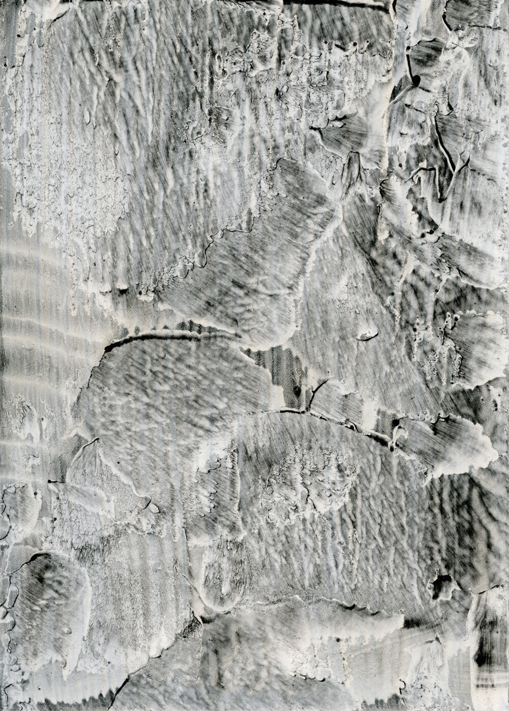 Virtual Exhibition | July