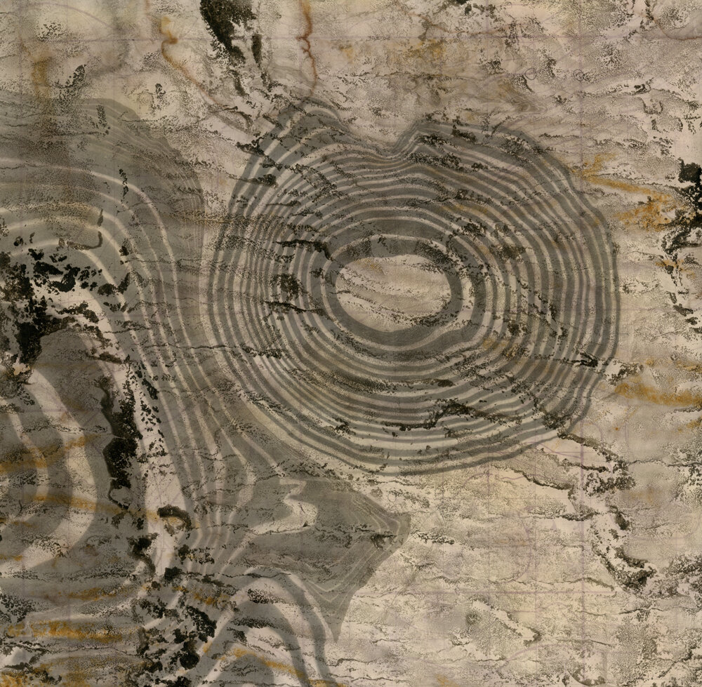 Virtual Exhibition | August