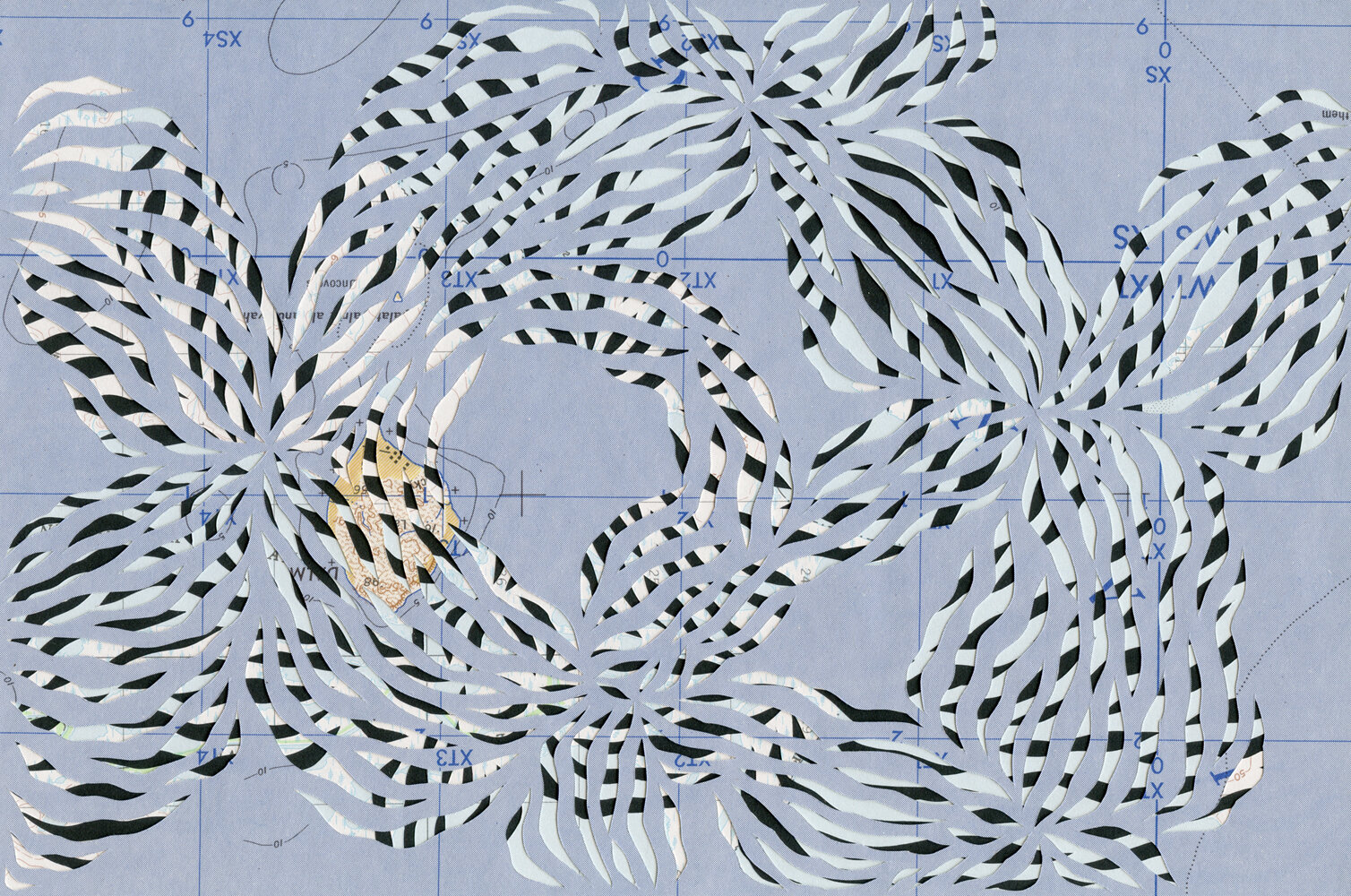 Virtual Exhibition | September