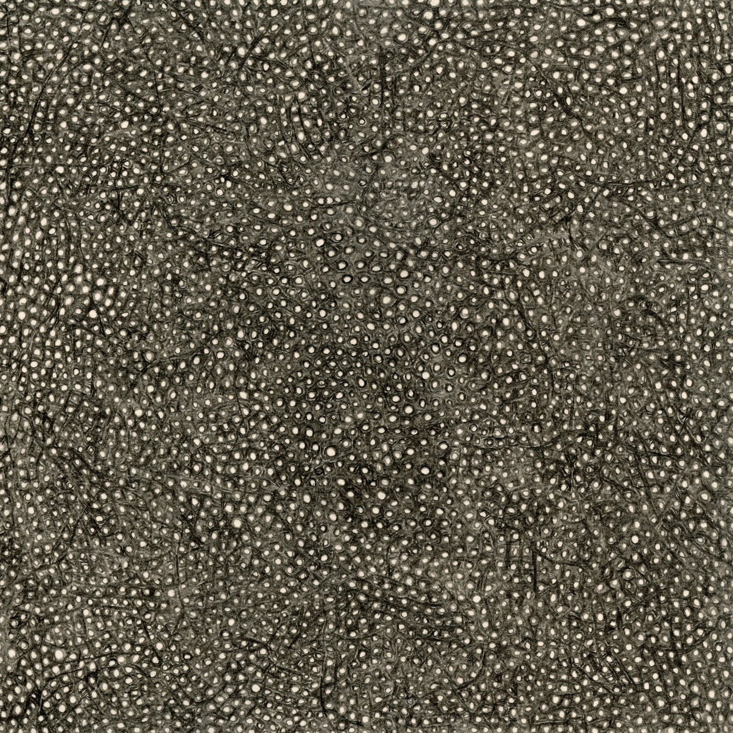 Virtual Exhibition | October