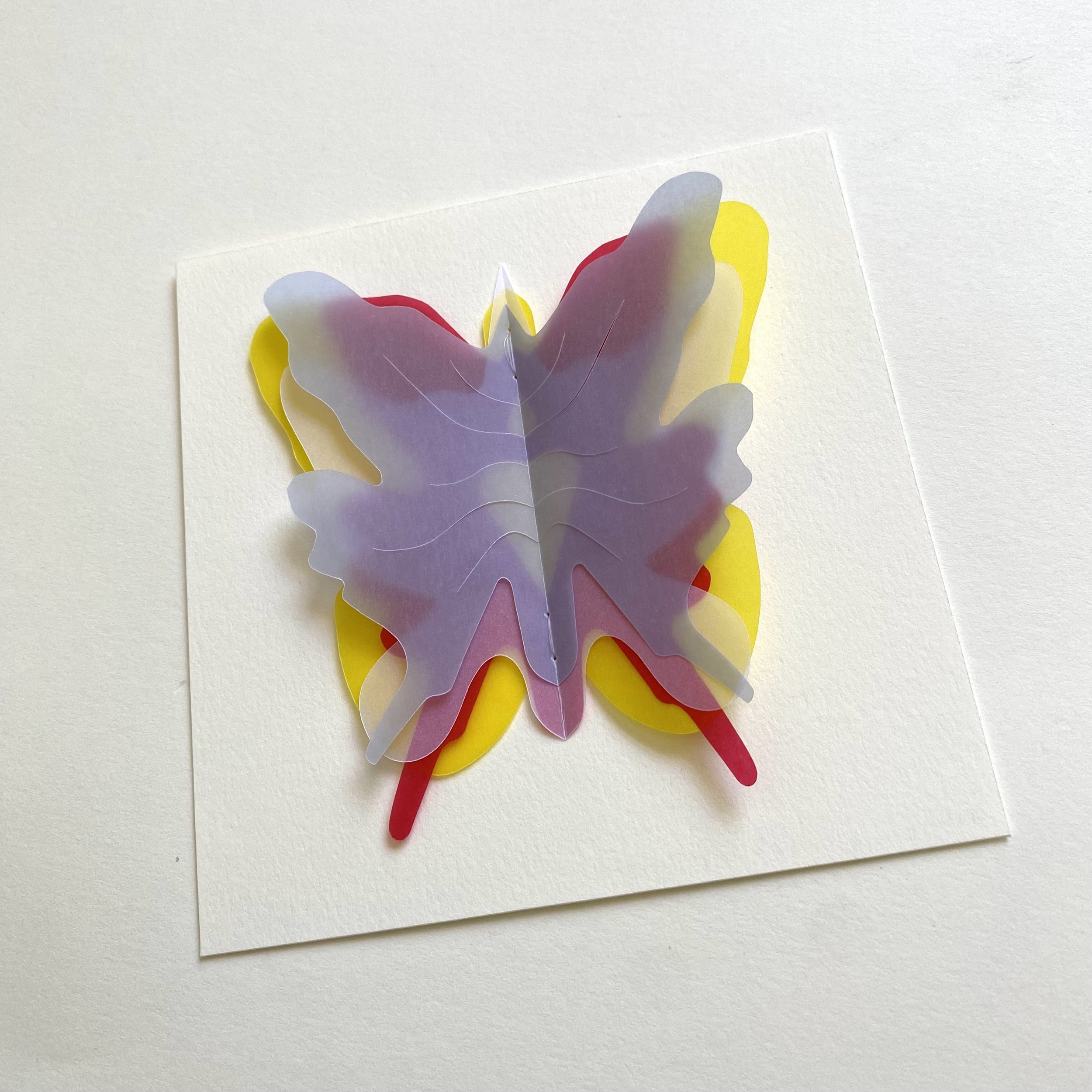 SimplingButterfly_07.jpeg