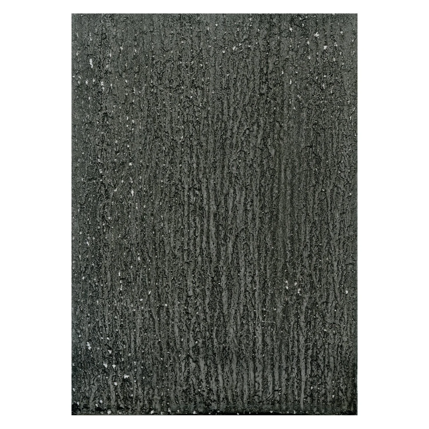 Void_07_CaseinSumi_BORDER.jpg