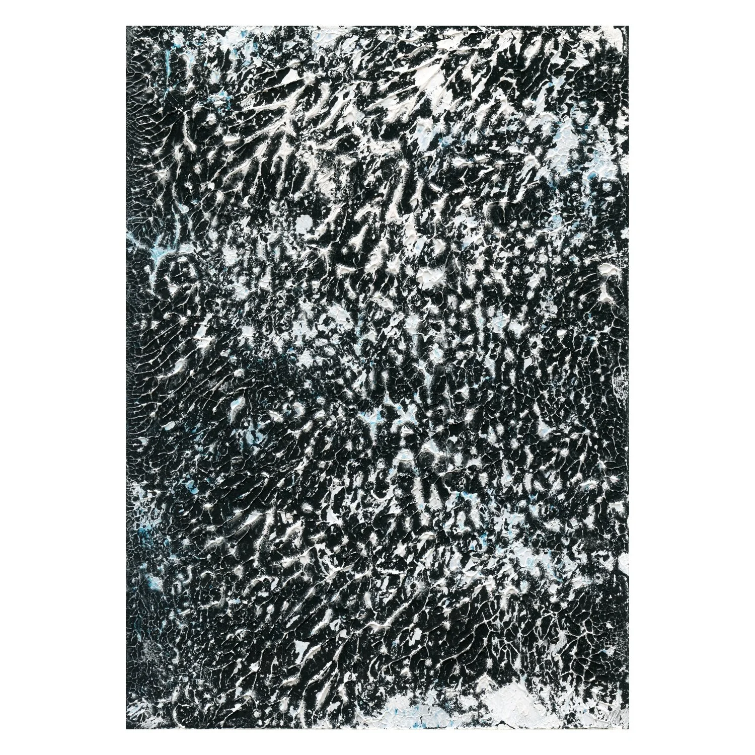 Venation_04_SM_BORDER.jpg