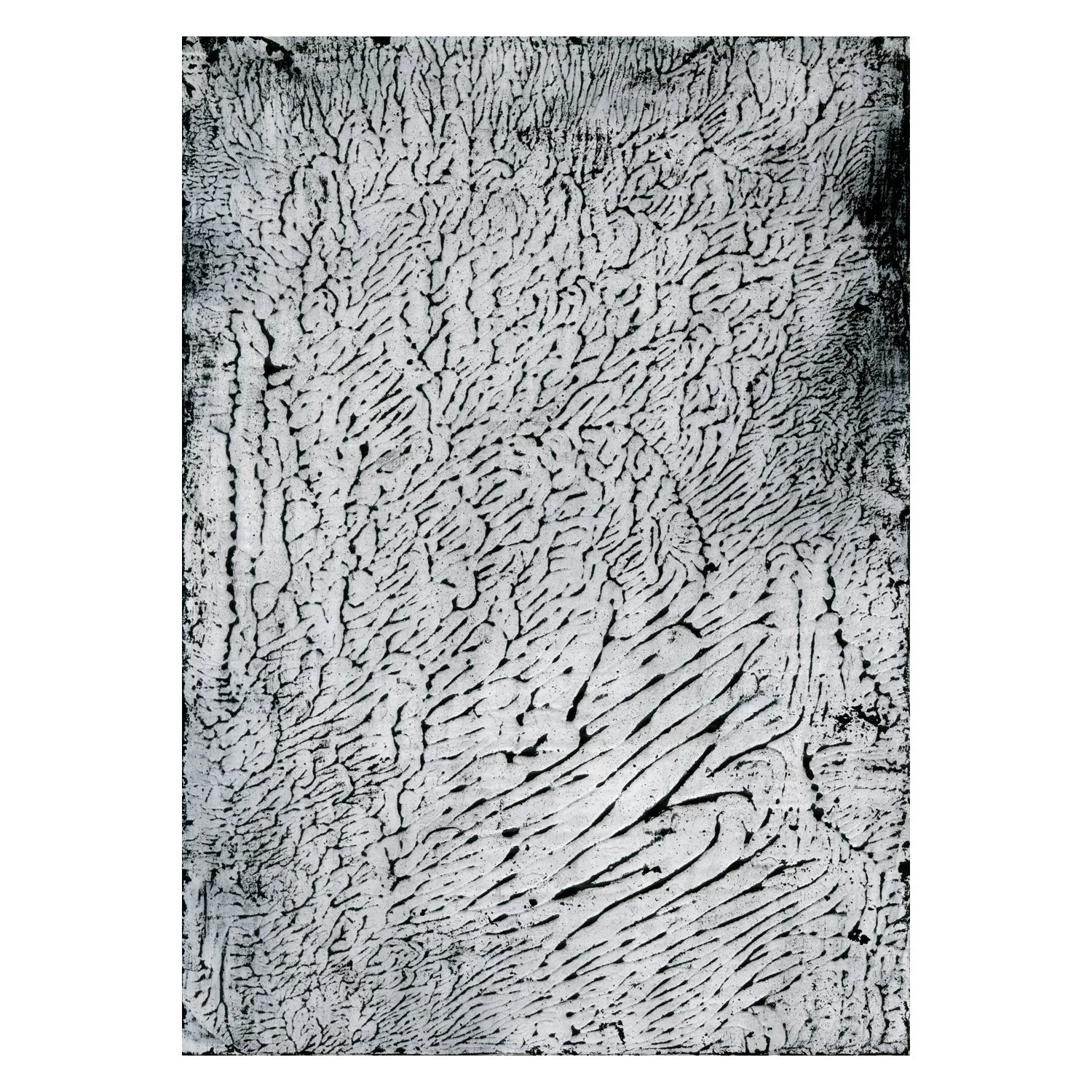 Venation_07_SM_BORDER.jpg