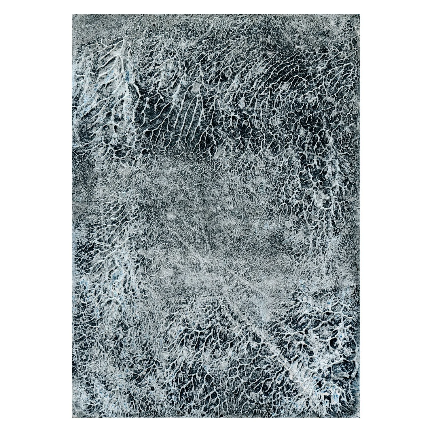 Venation_09_SM_BORDER.jpg