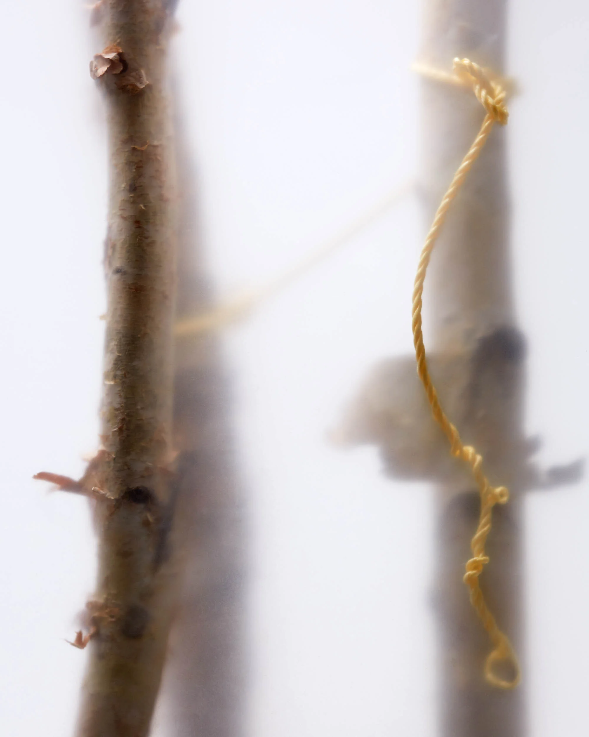Ravine-Rope.jpg