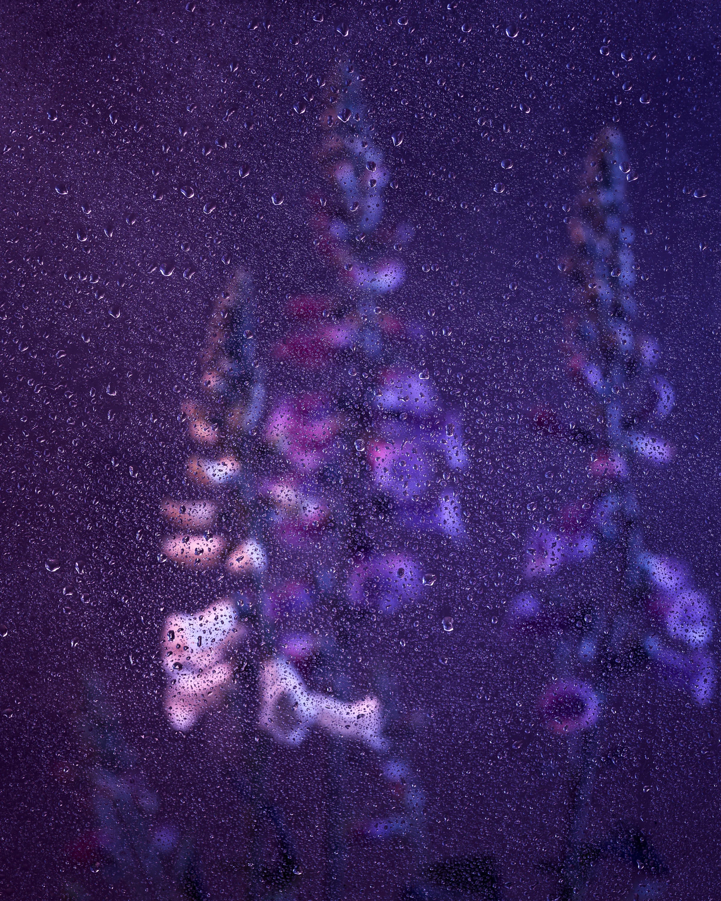 170729_windowgarden100859.jpg