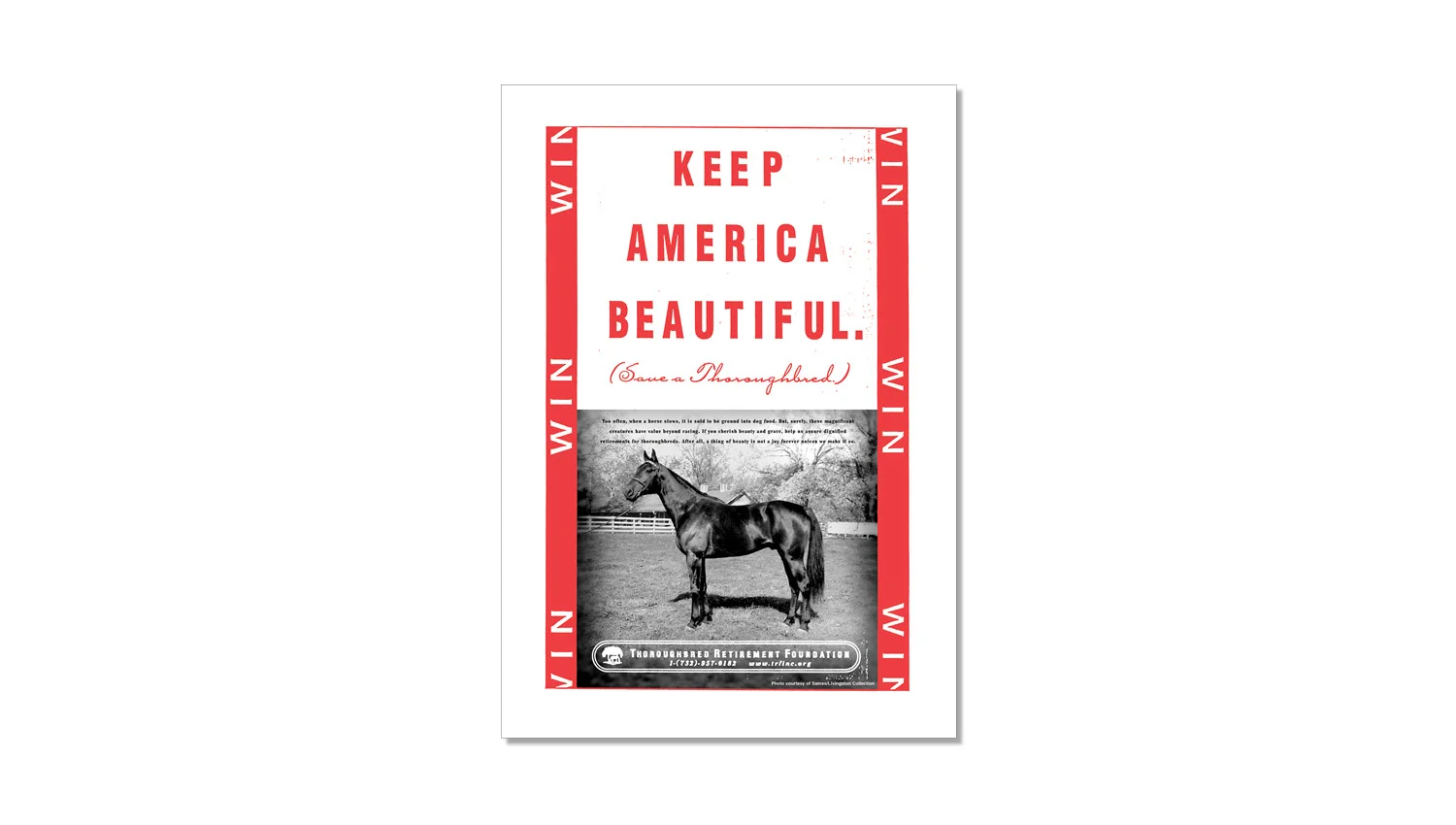 Thoroughbred Racing Foundation Ad