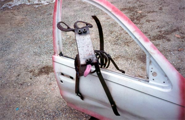 cardog1.jpg