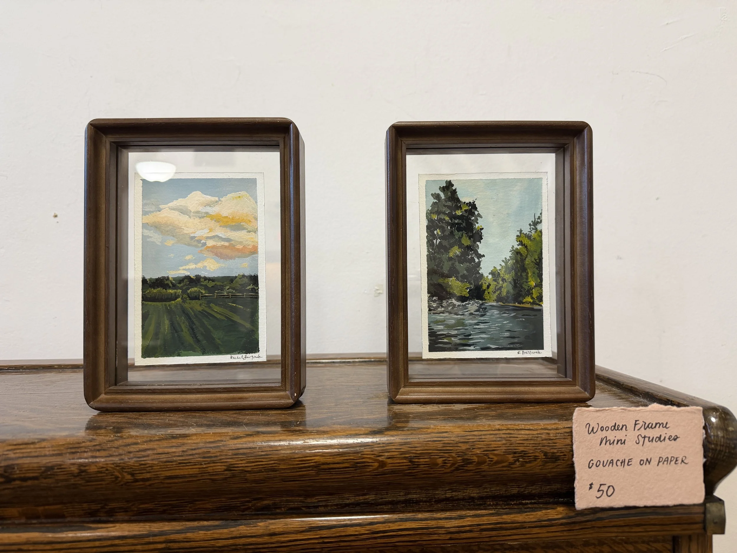 Plein Air Mini Studies