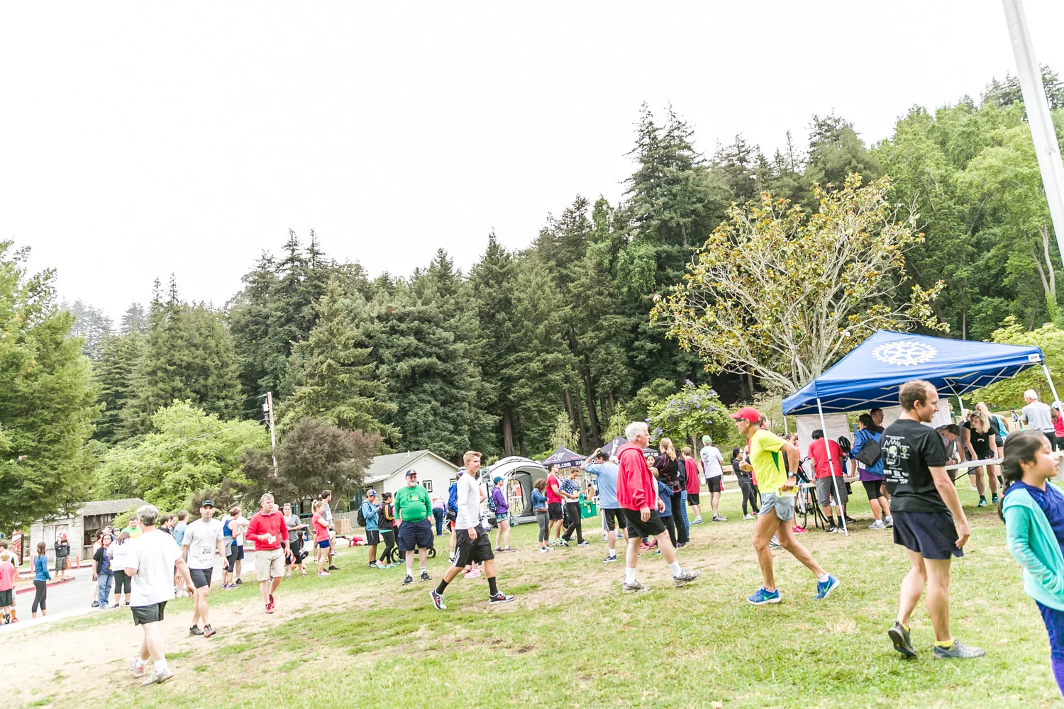 Firecracker10k2015-1202