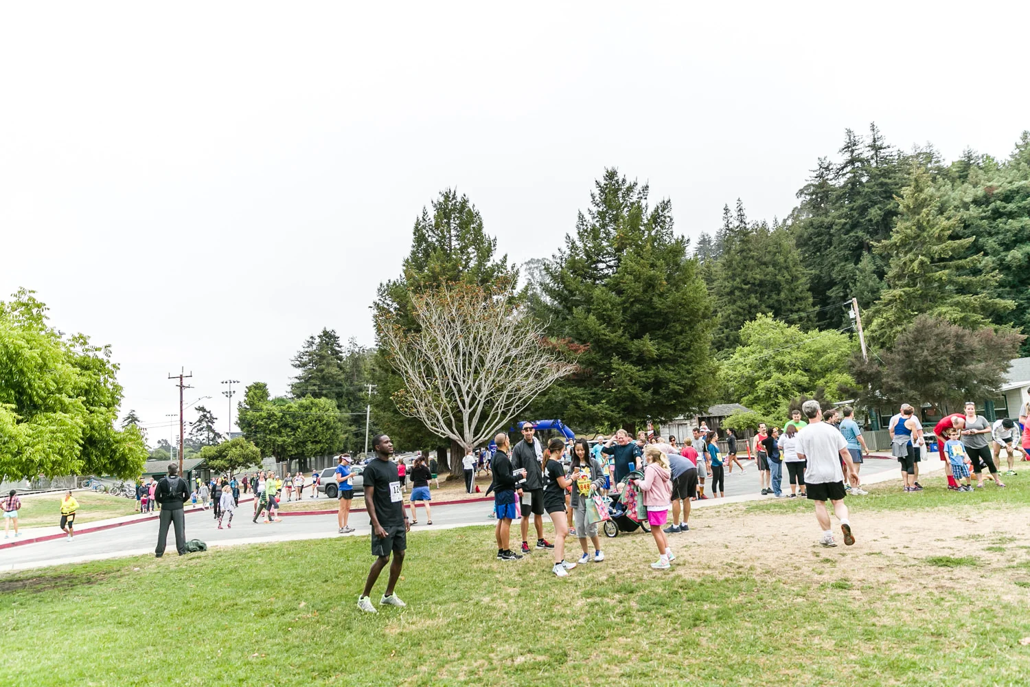 Firecracker10k2015-1206