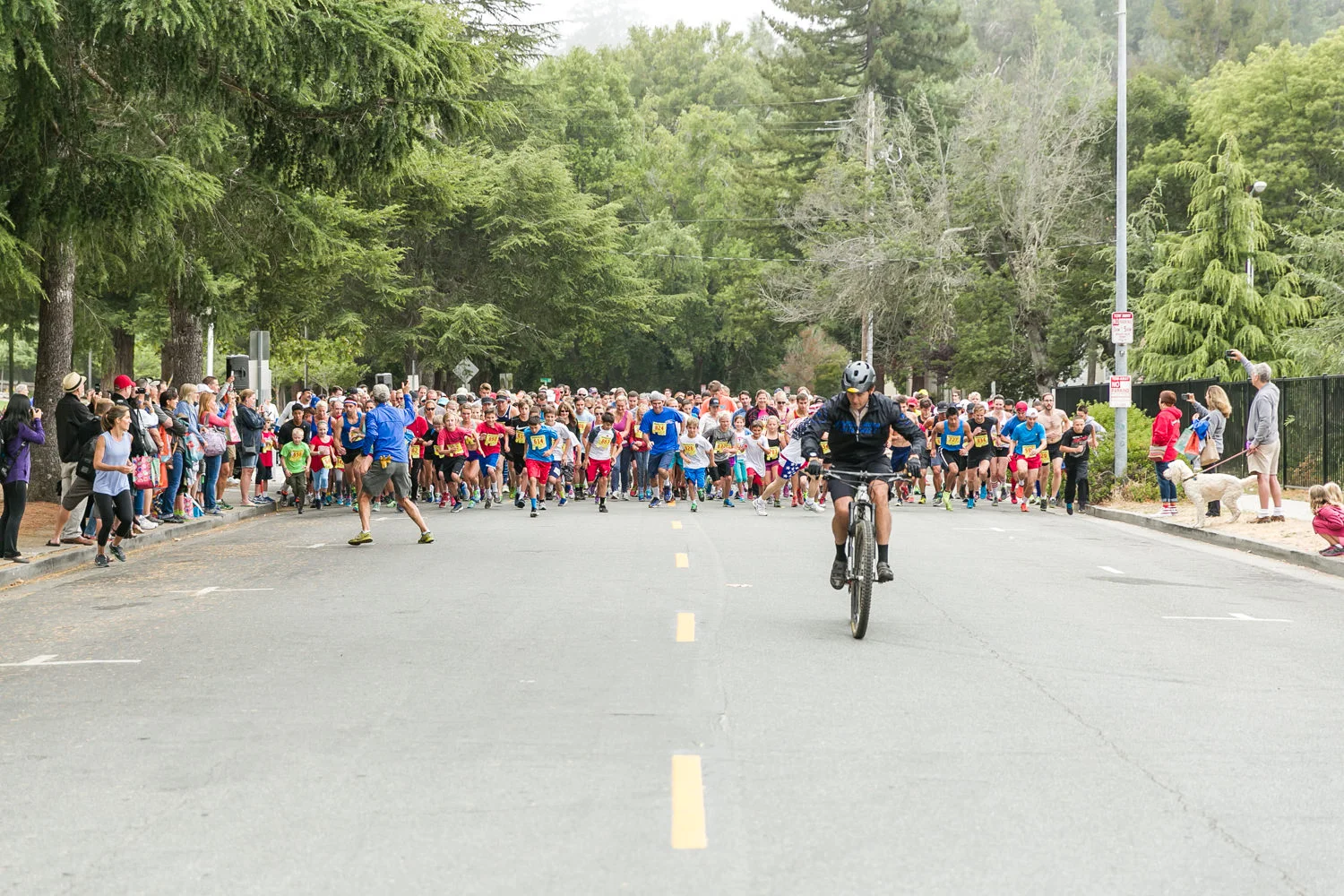 Firecracker10k2015-1684