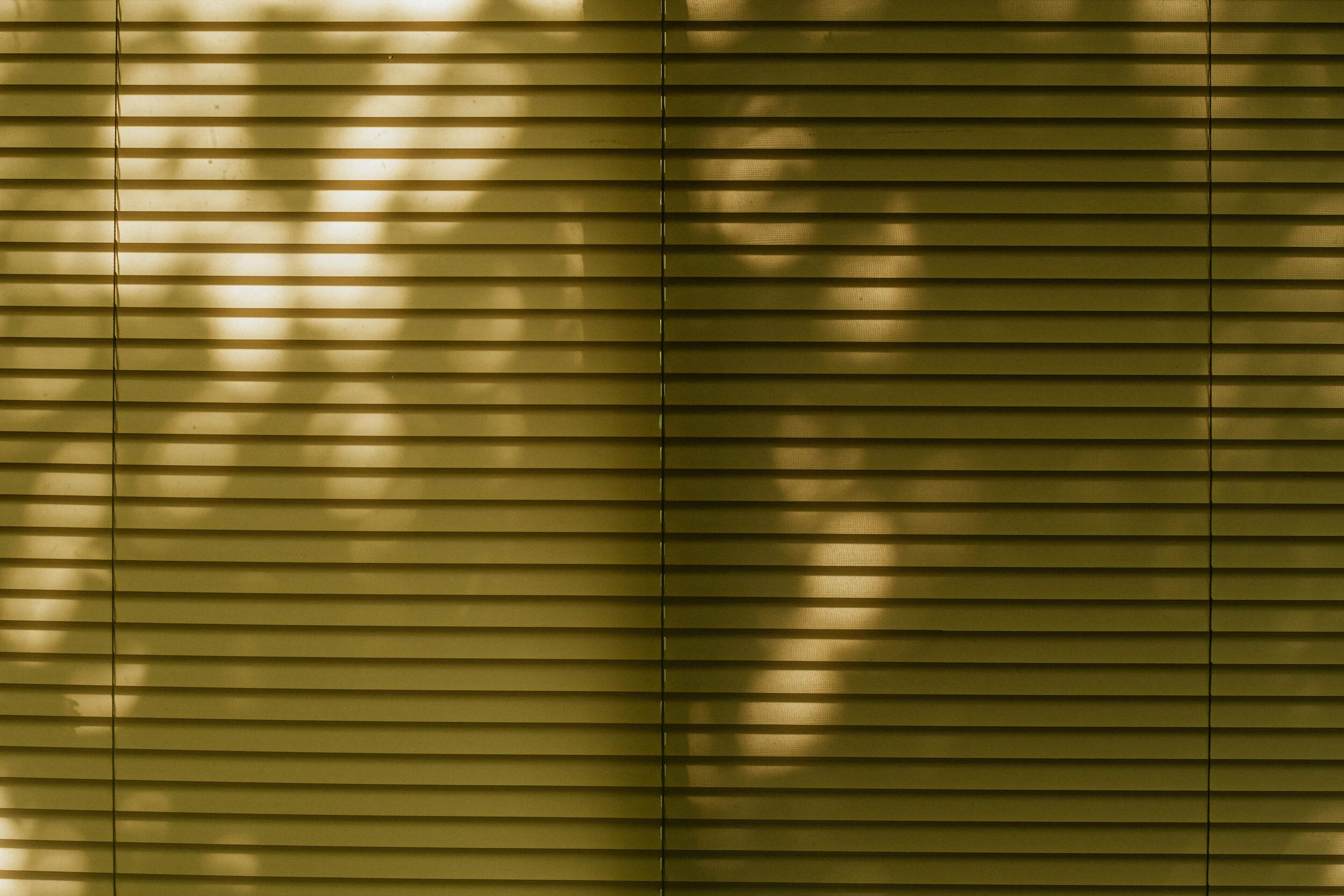 DSCF1025.jpg