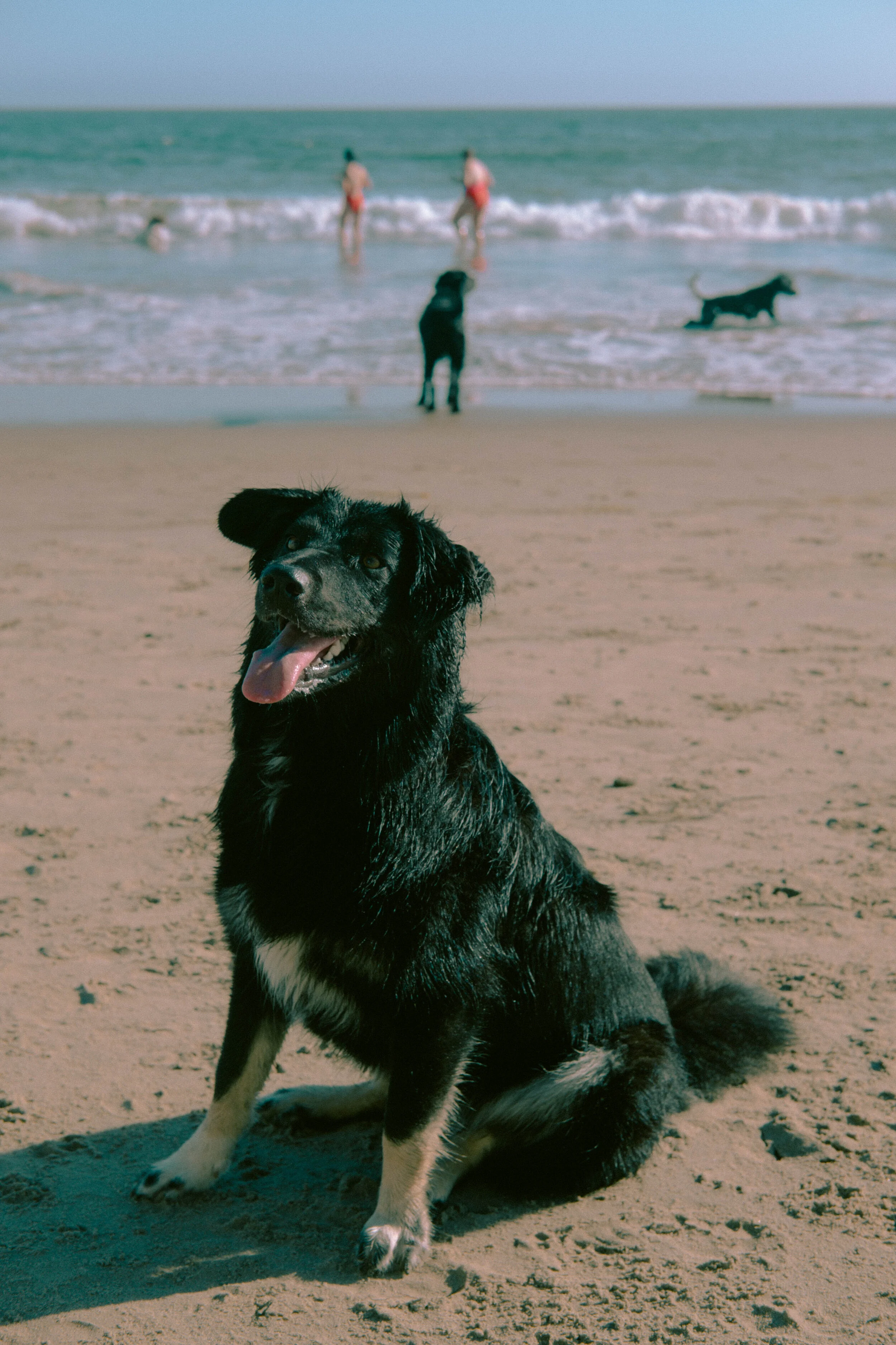 DSCF2851.jpg