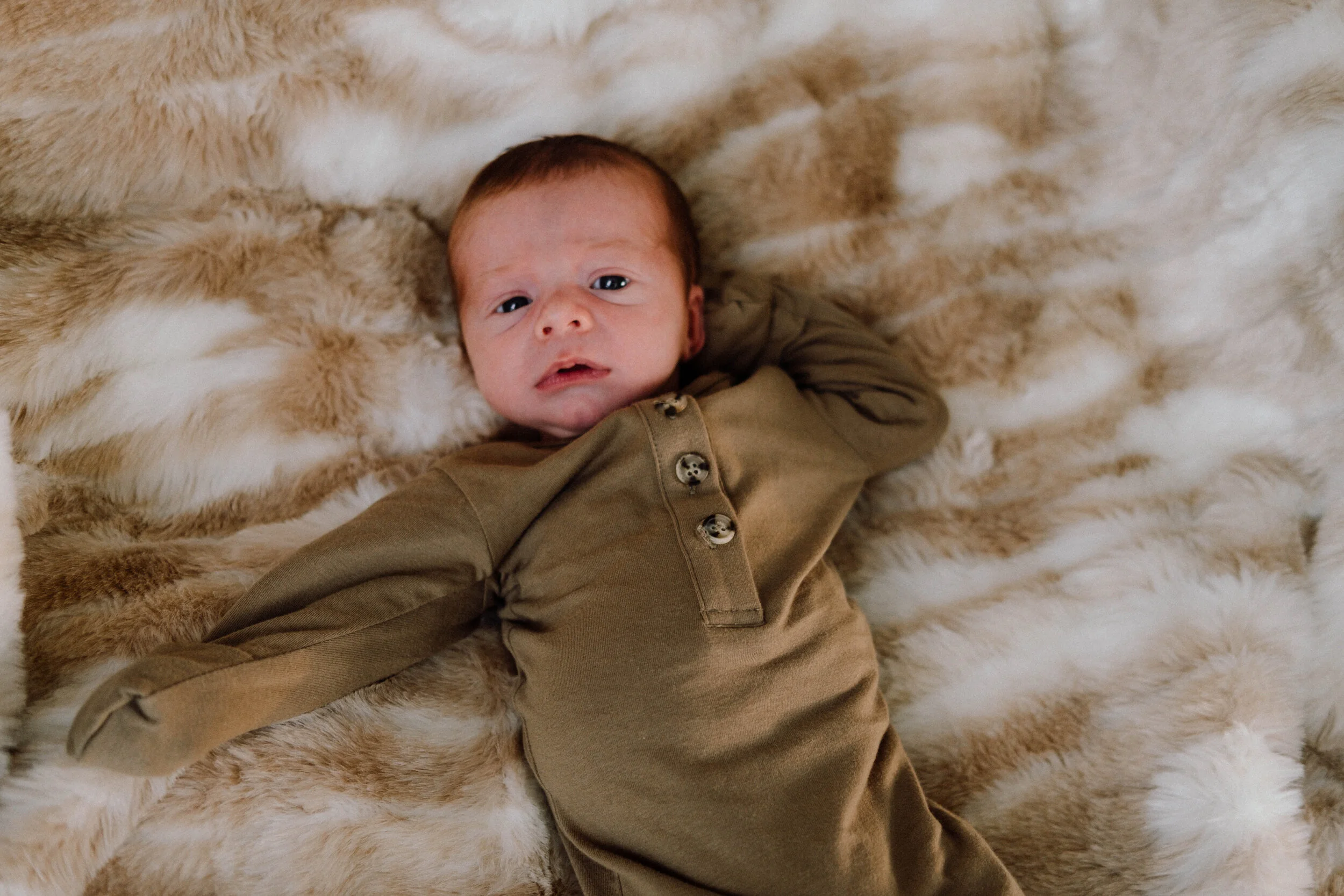 DSCF3651-2.jpg