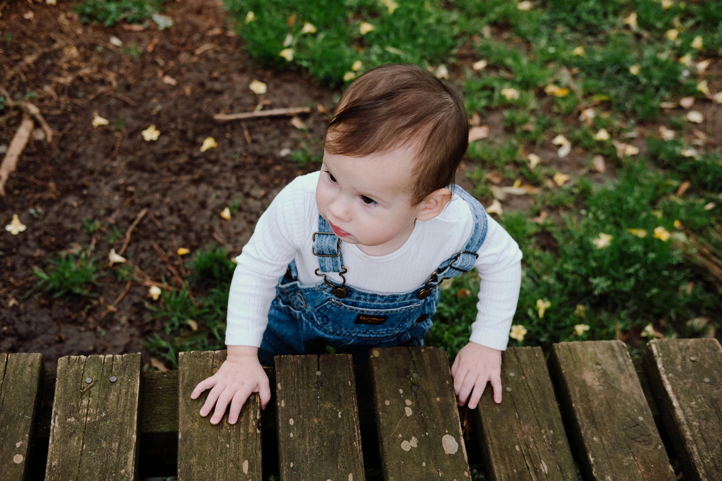 DSCF4416.jpg