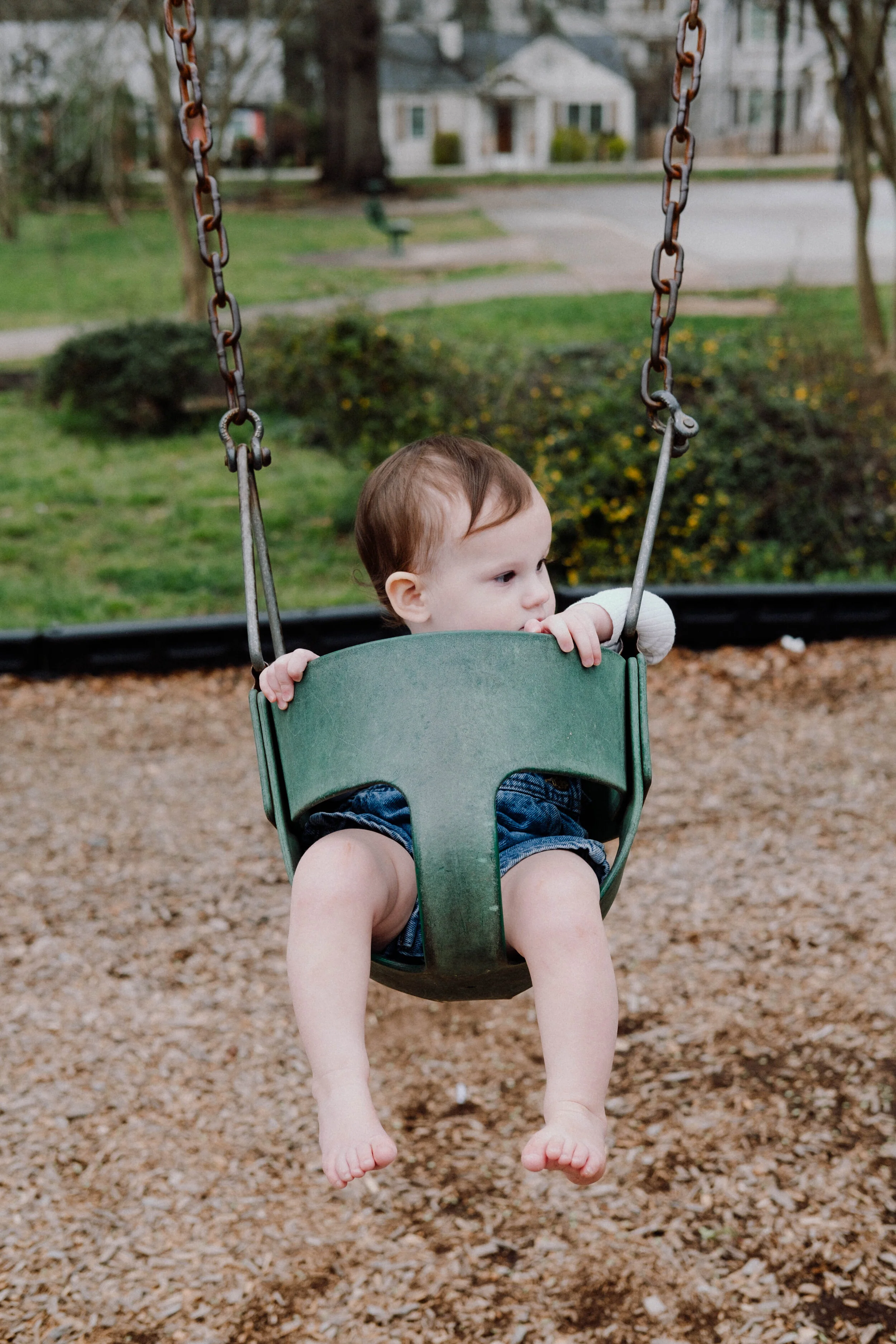 DSCF4561.jpg