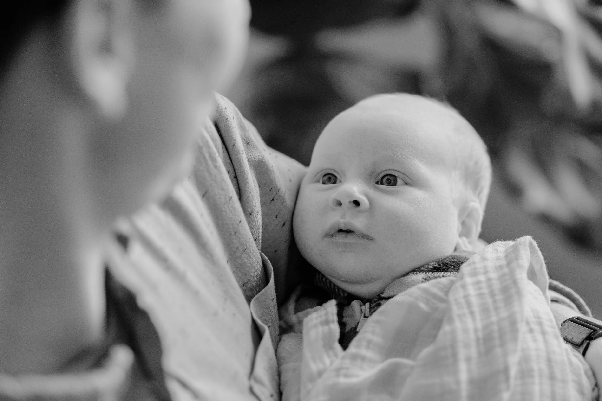 DSCF7853.jpg