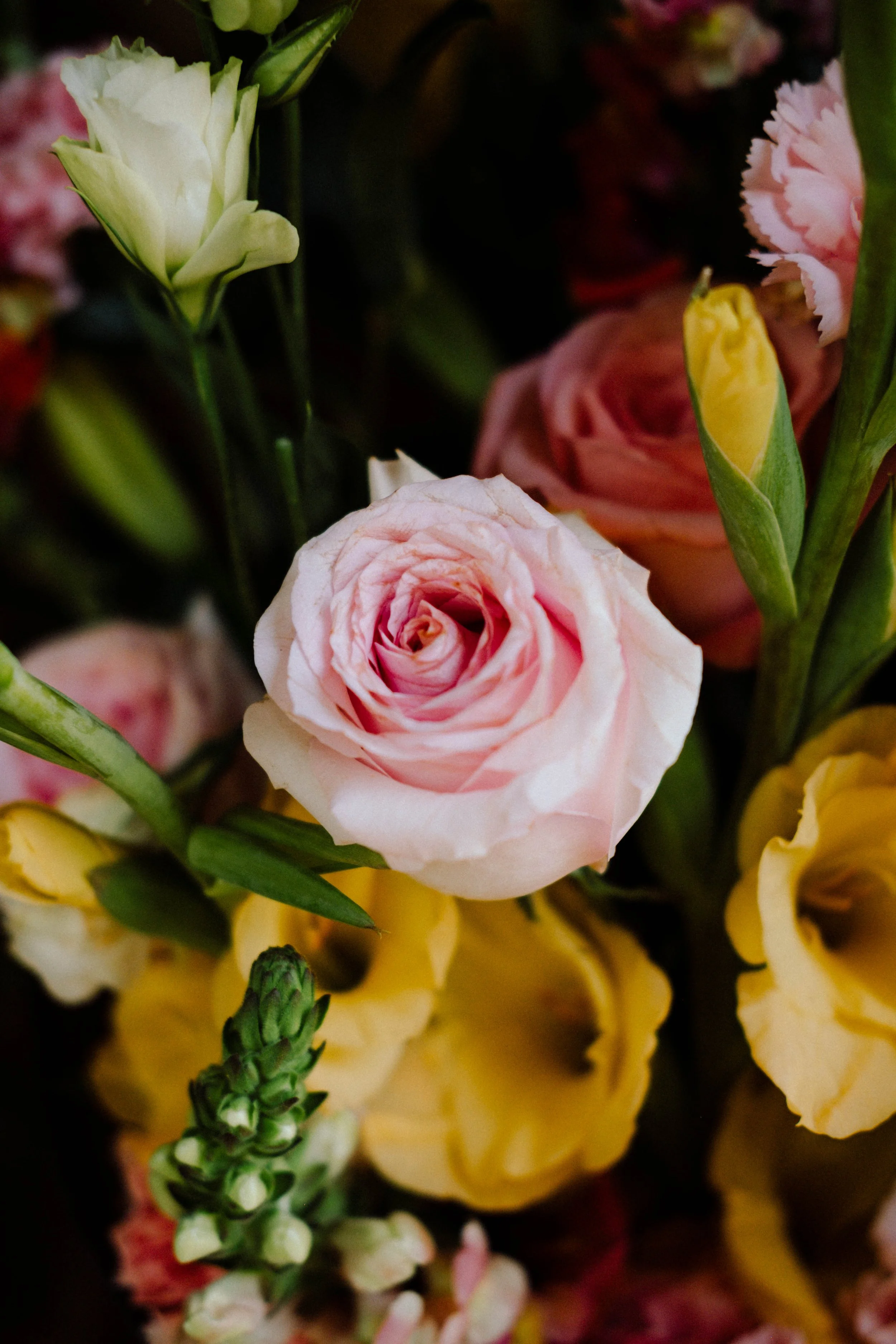 DSCF8193.jpg